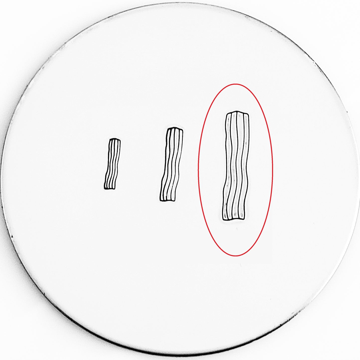 Bacon