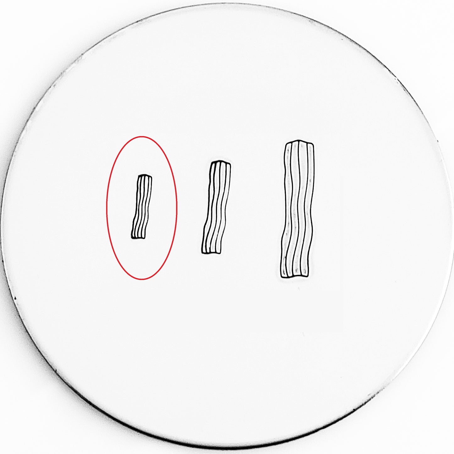 Bacon