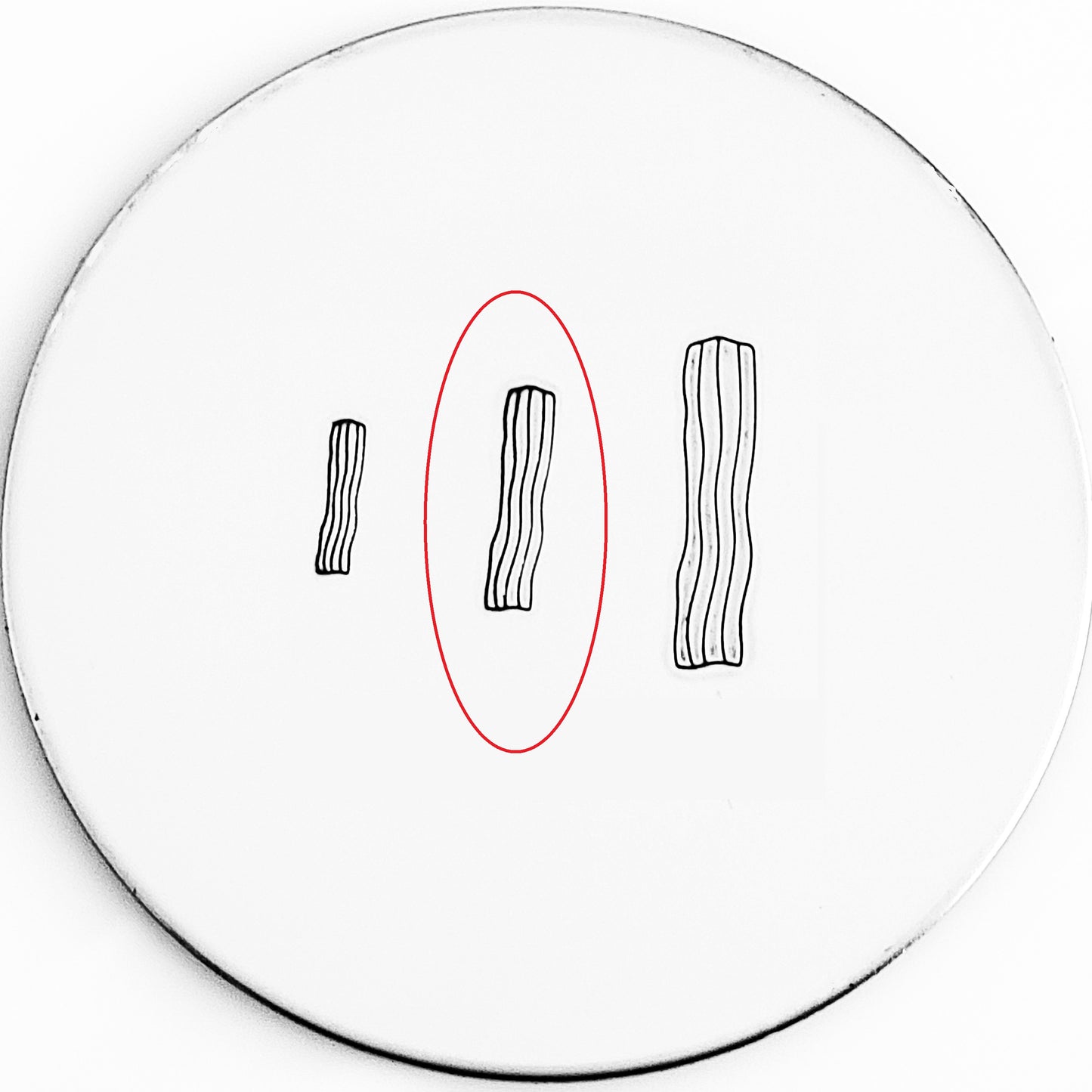 Bacon