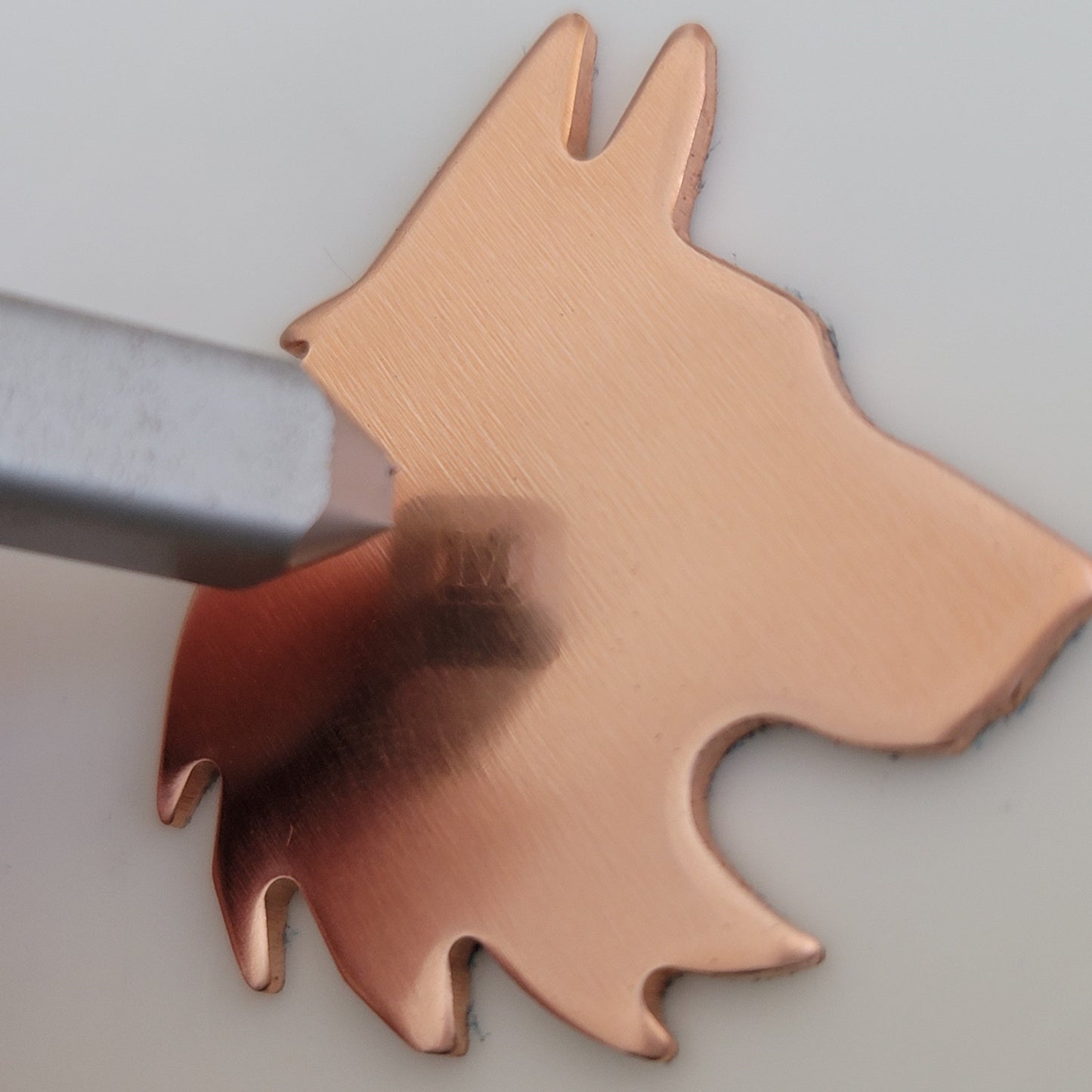 1 1/4" x 1 3/8" Wolf Heads - 14g BRASS