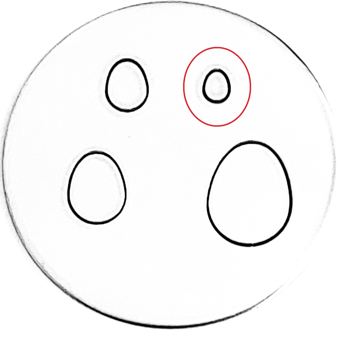 Whole Egg