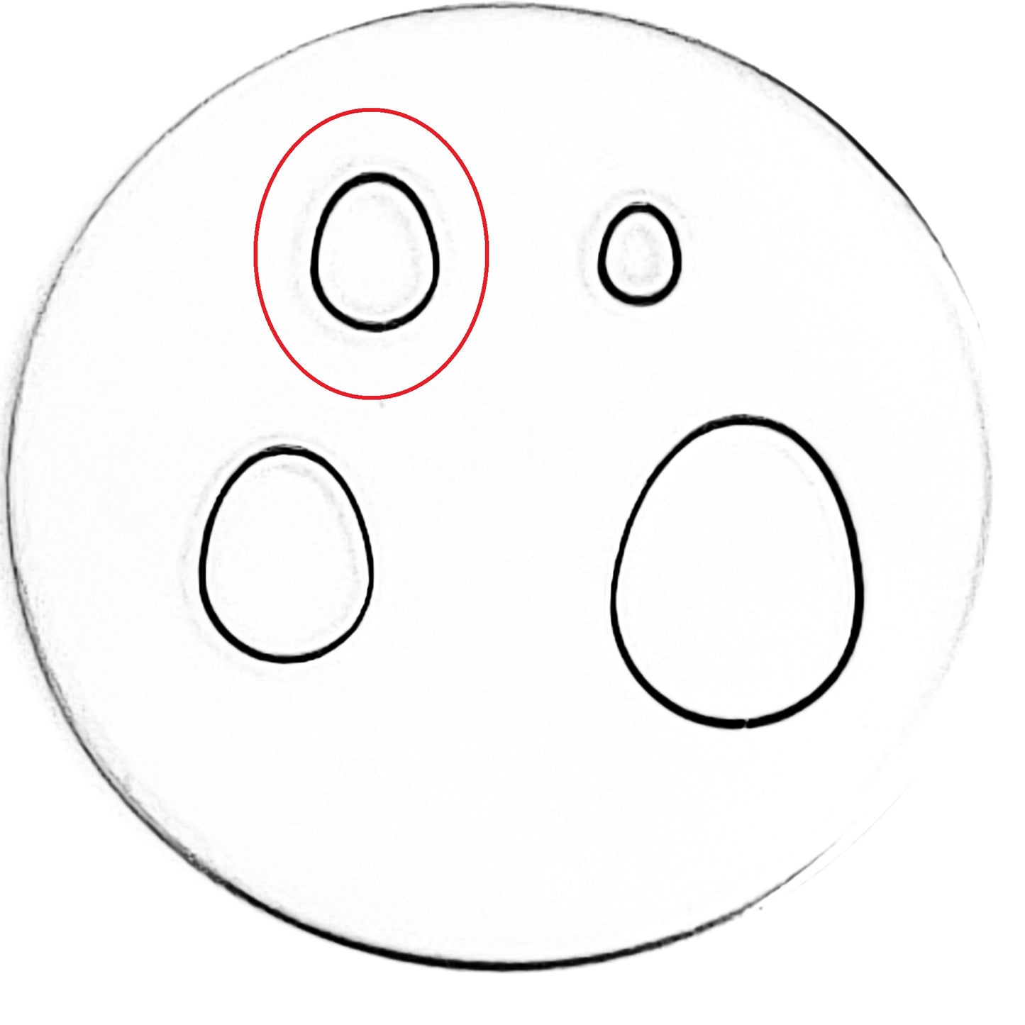 Whole Egg