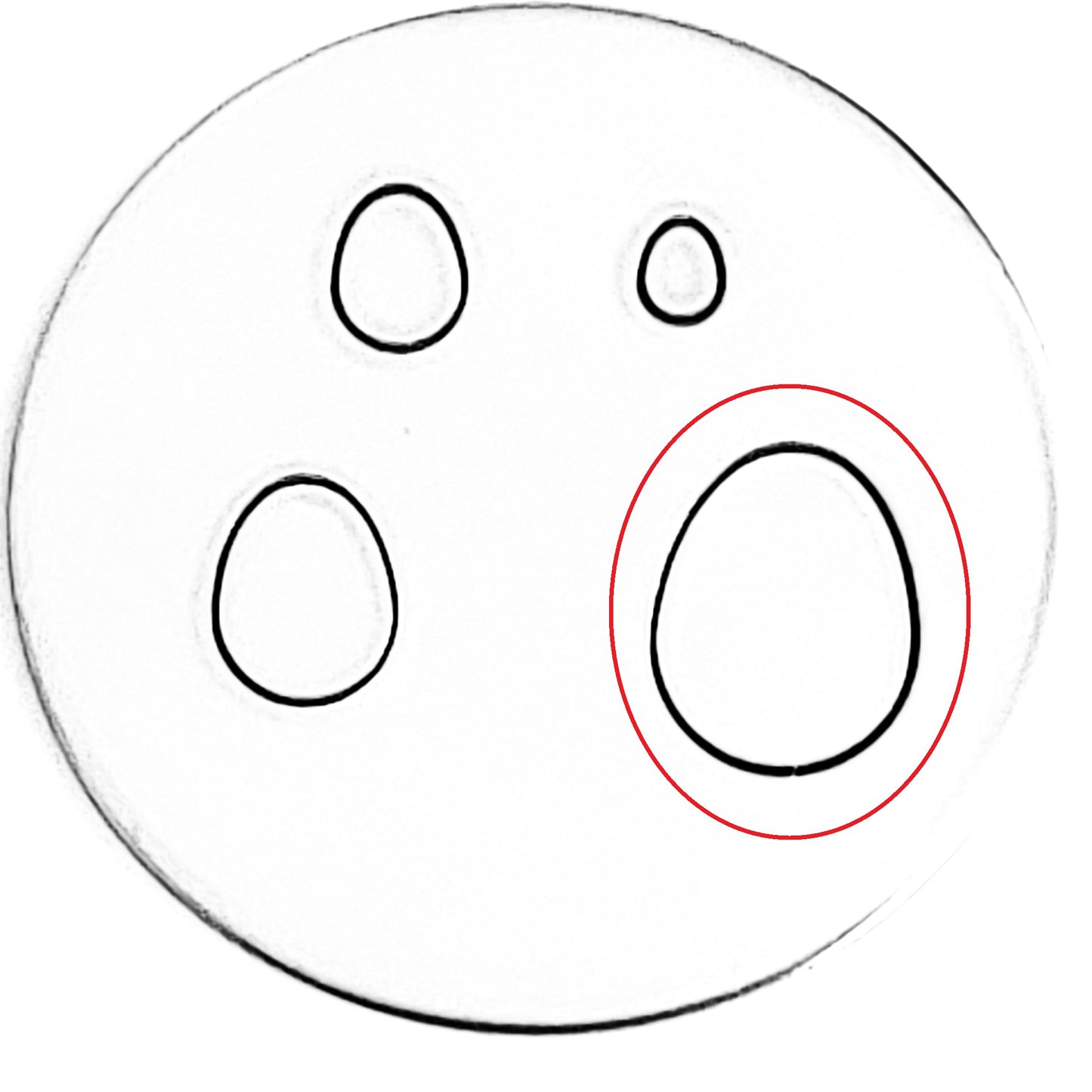 Whole Egg