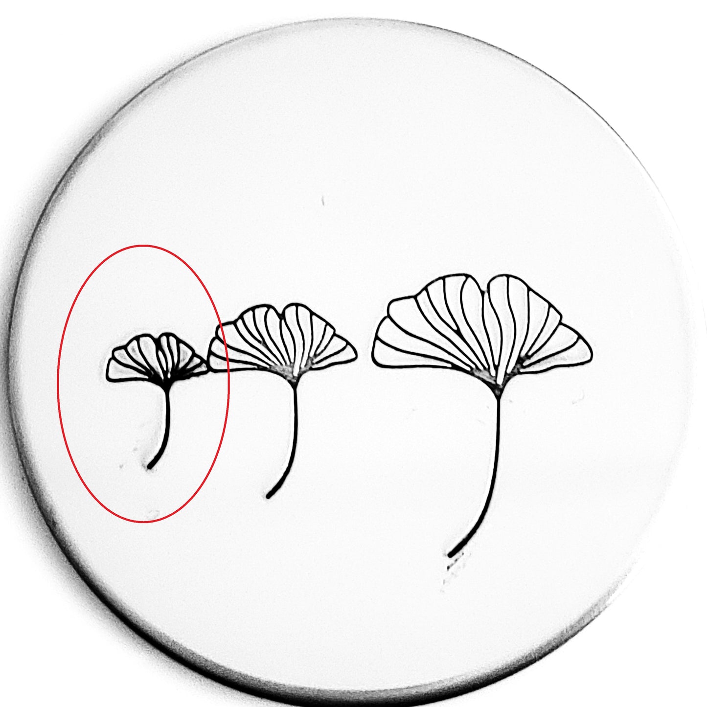 Ginkgo Leaf #01