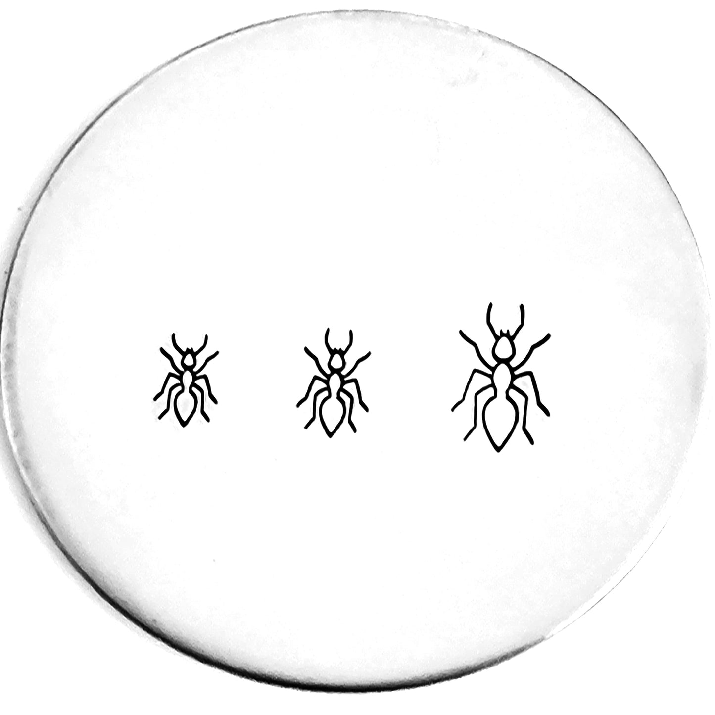 Ant