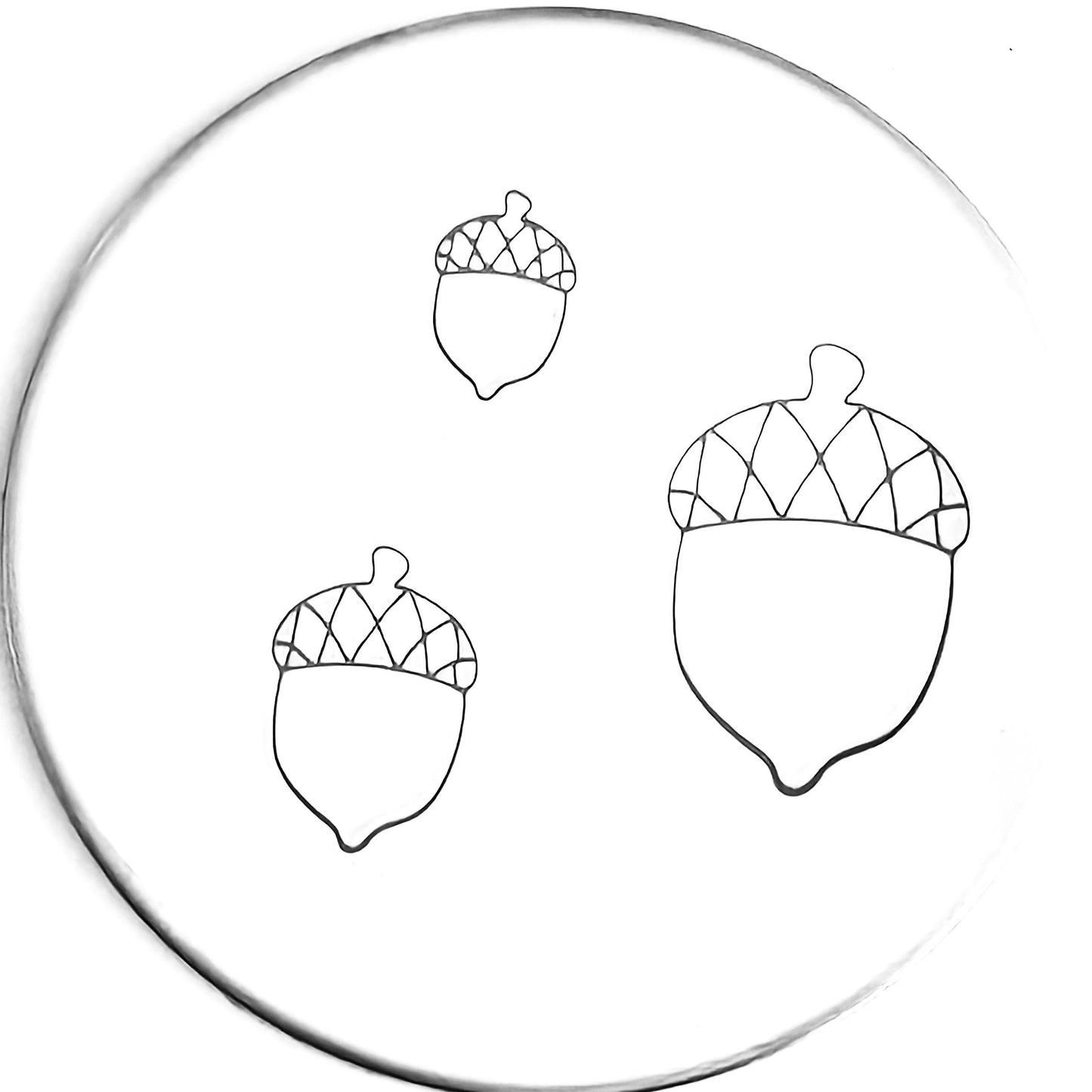 Acorn