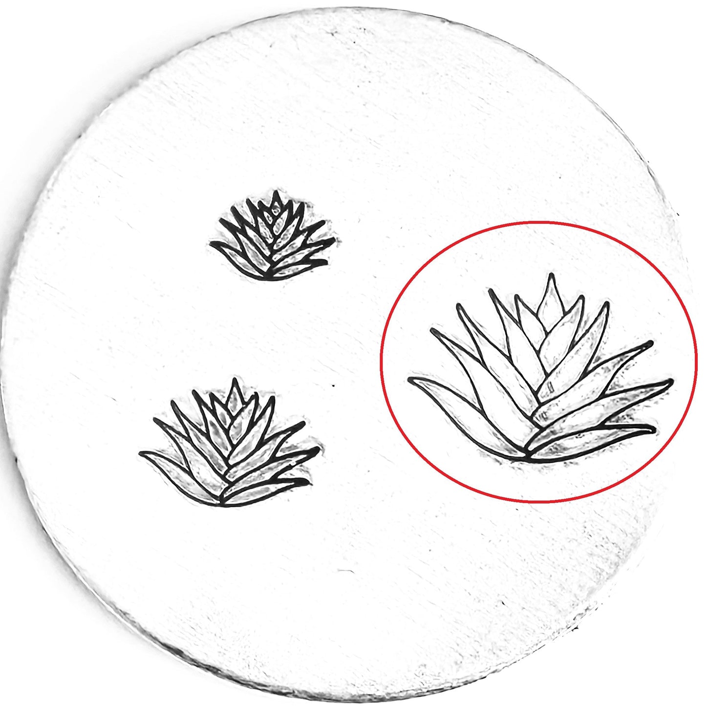 Agave #01