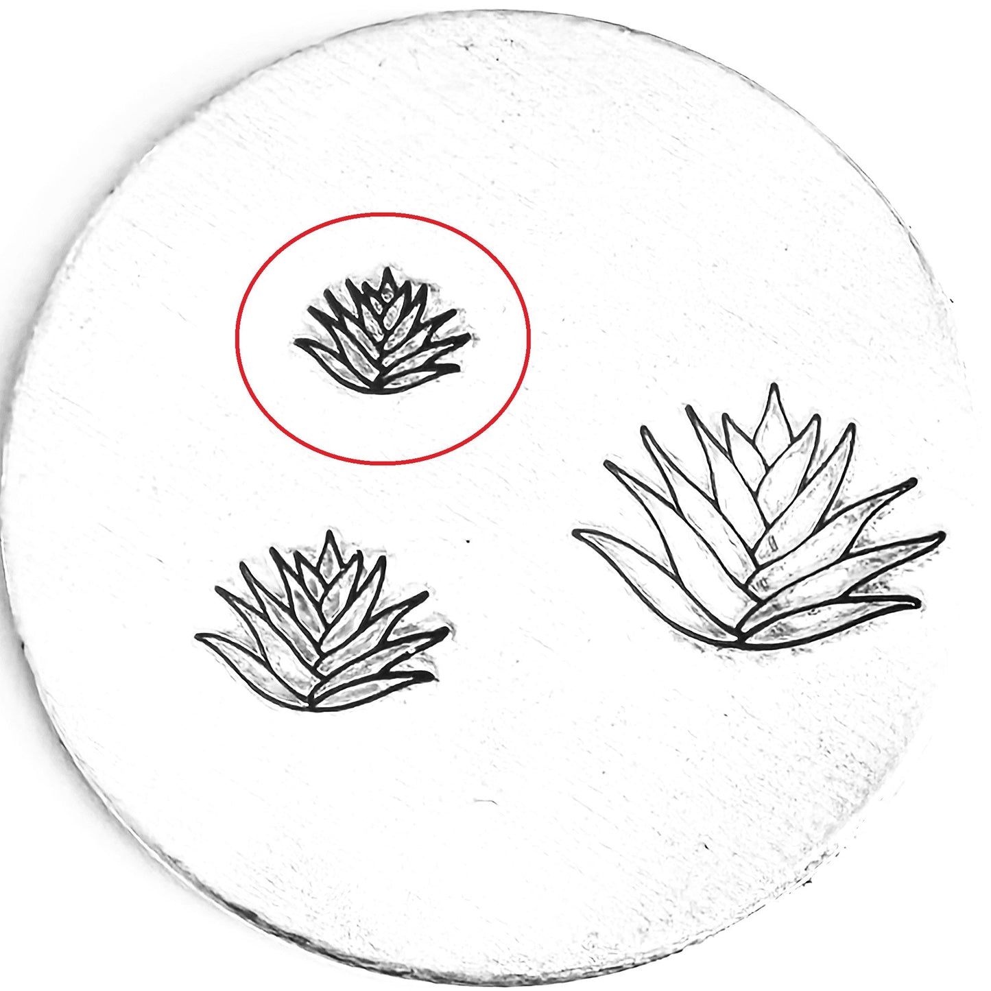 Agave #01