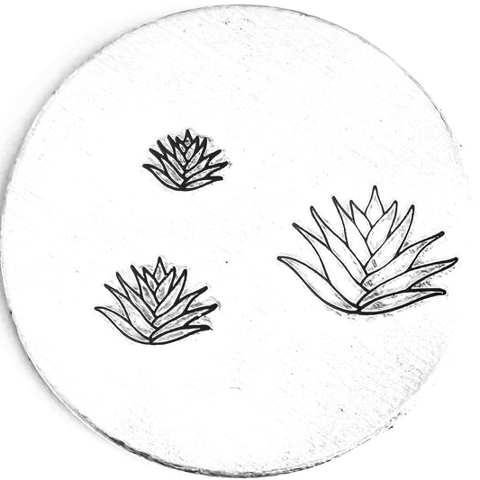 Agave #01