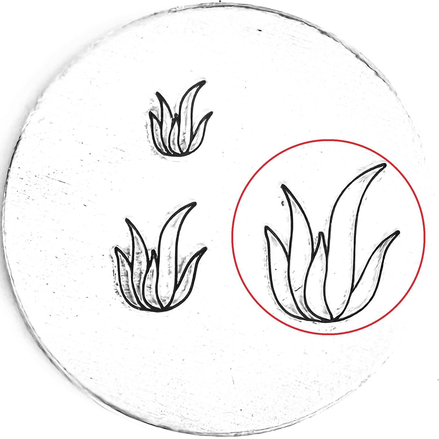 Agave #02