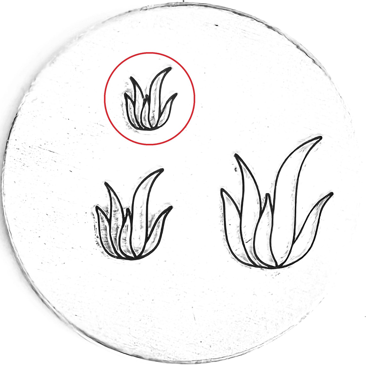 Agave #02