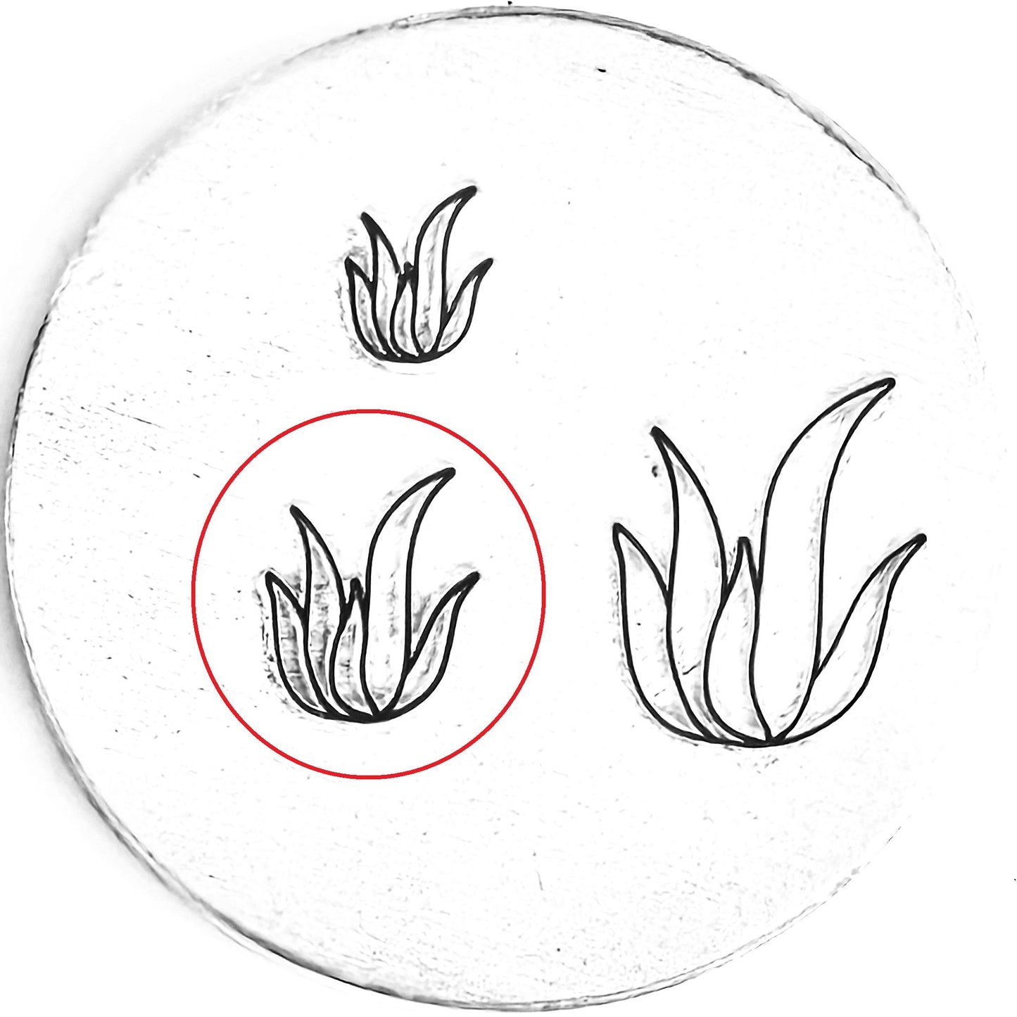 Agave #02