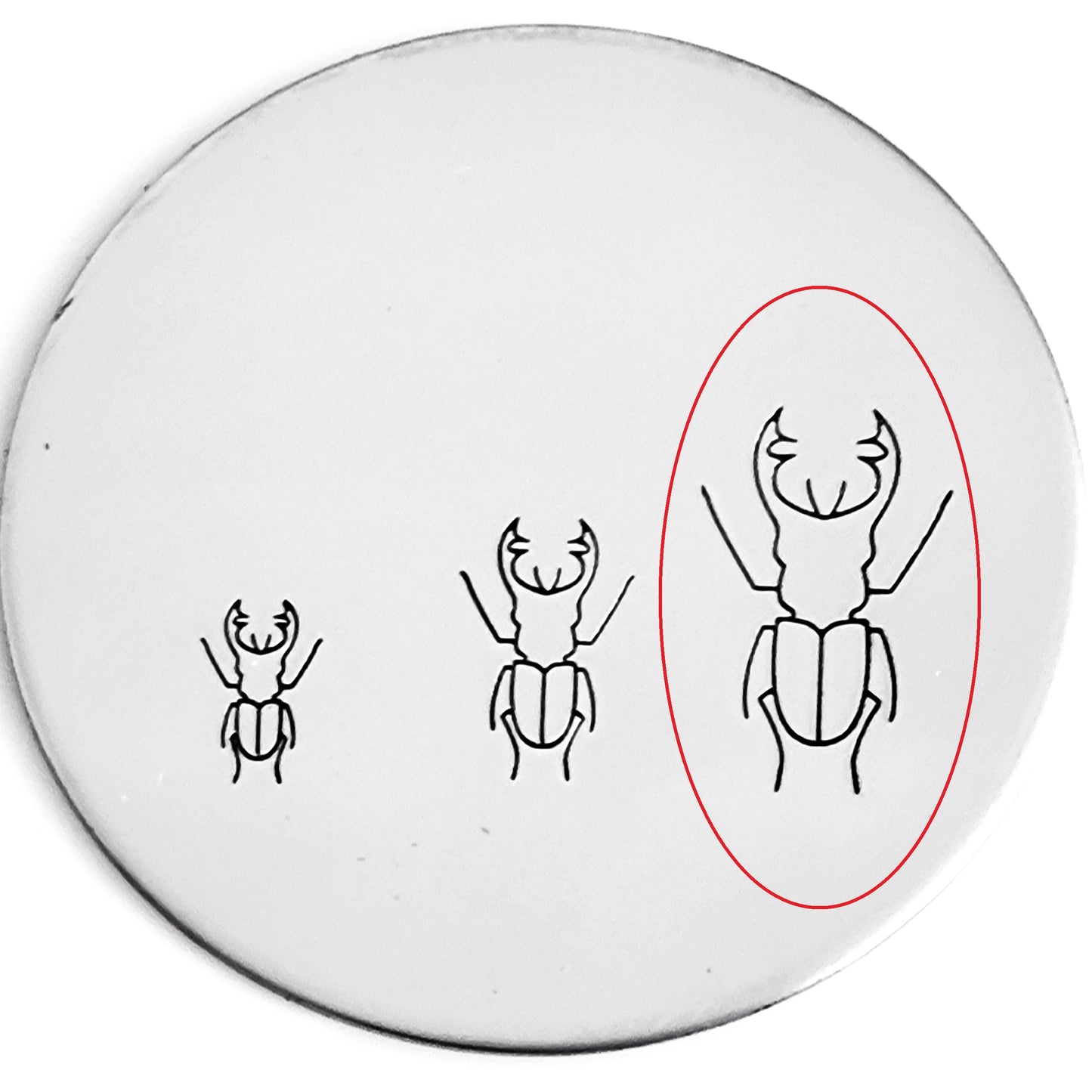 Beetle #02