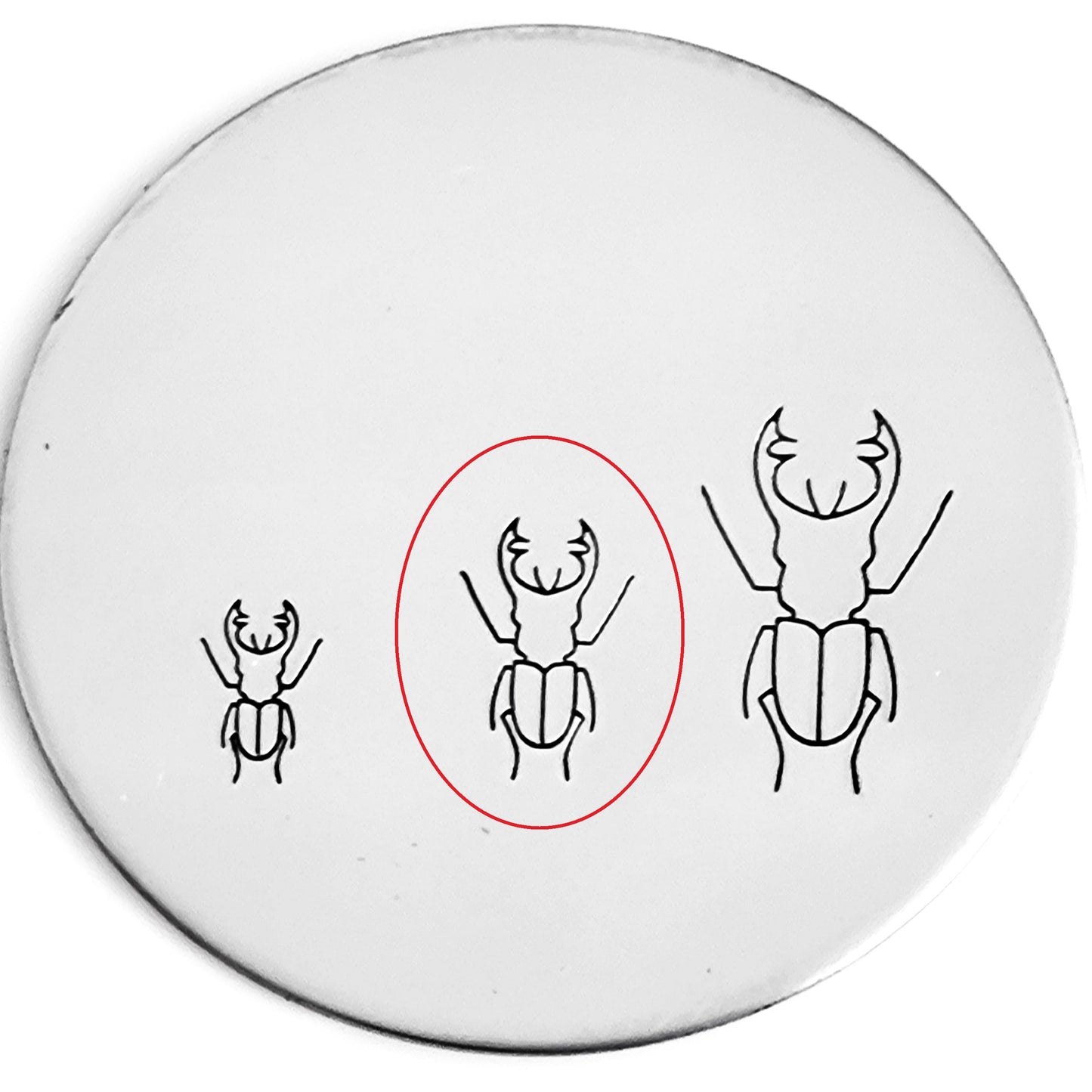 Beetle #02