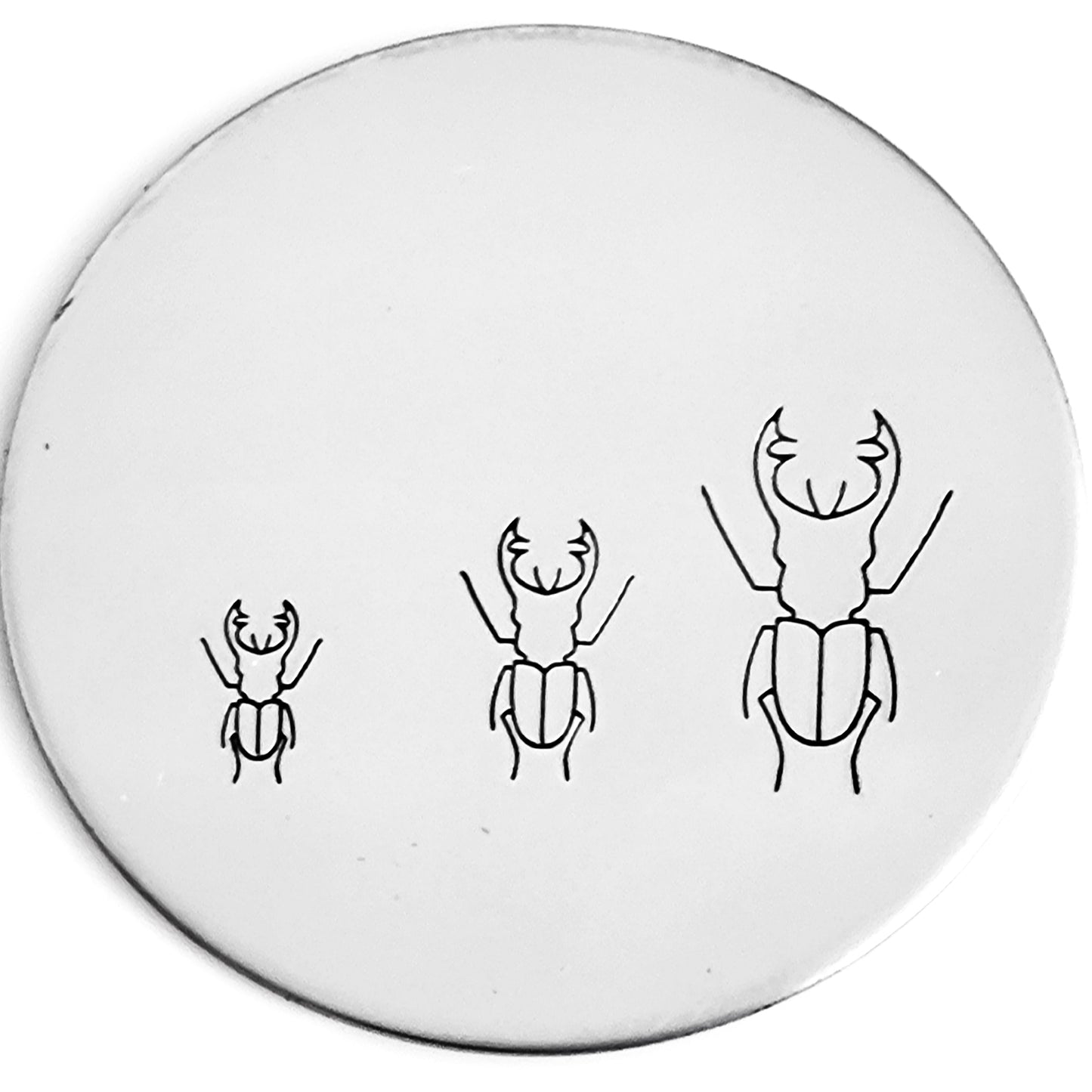 Beetle #02