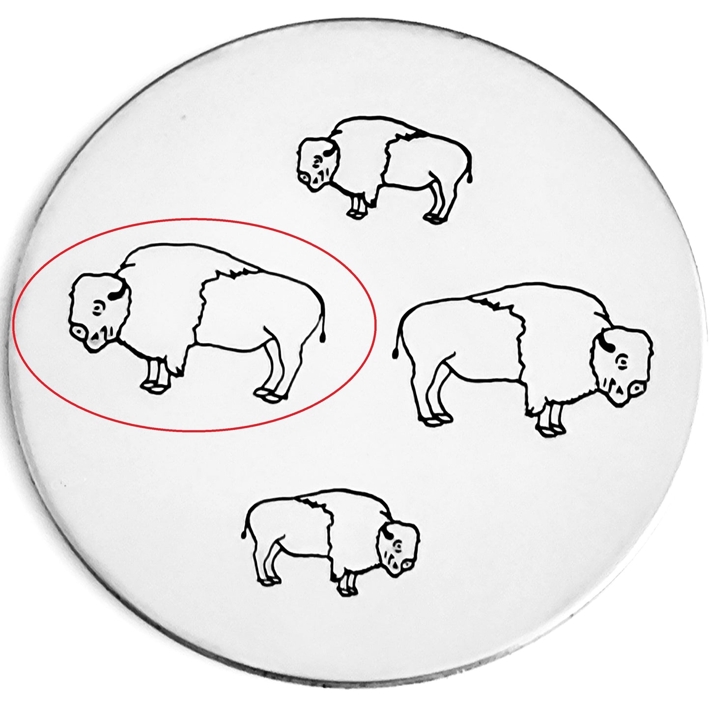 Buffalo