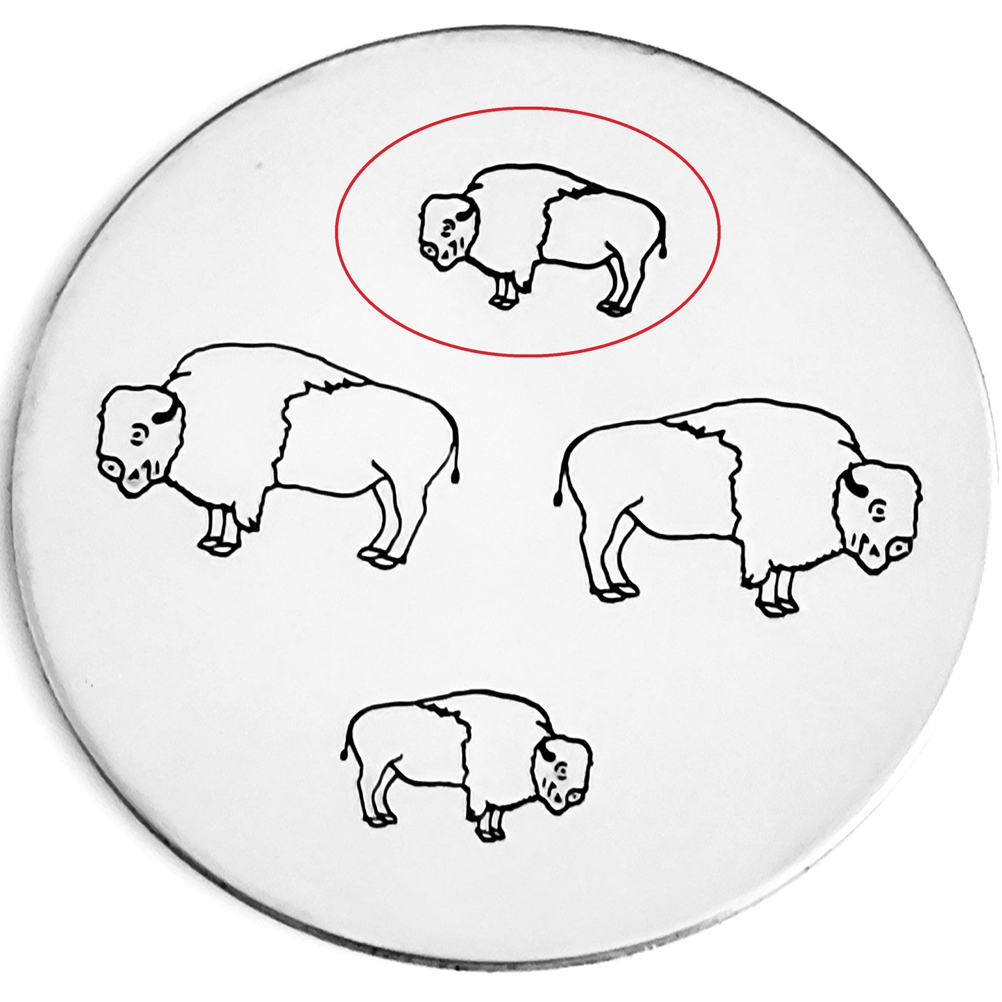 Buffalo
