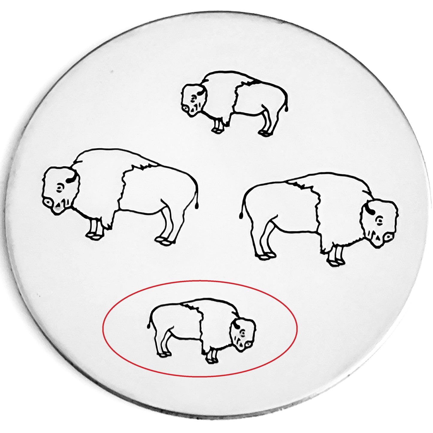 Buffalo