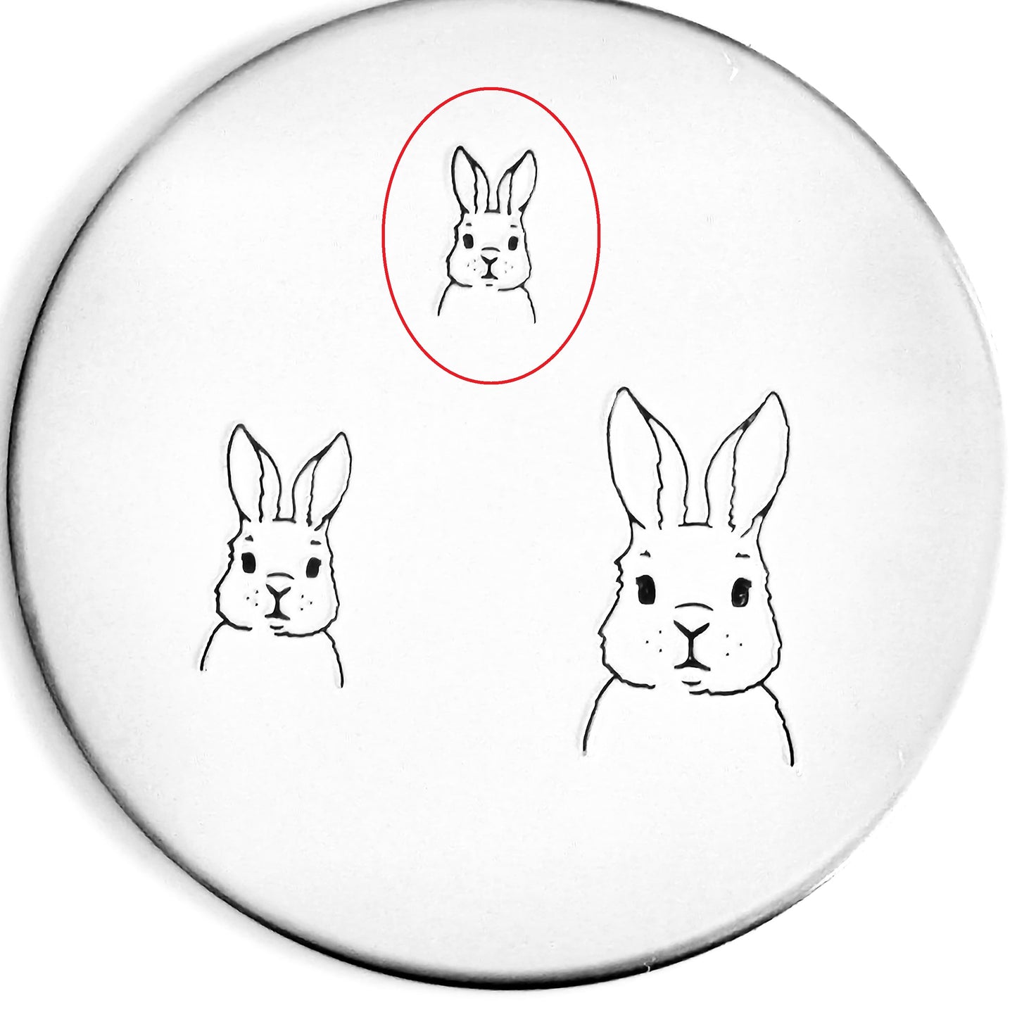 Bunny #02