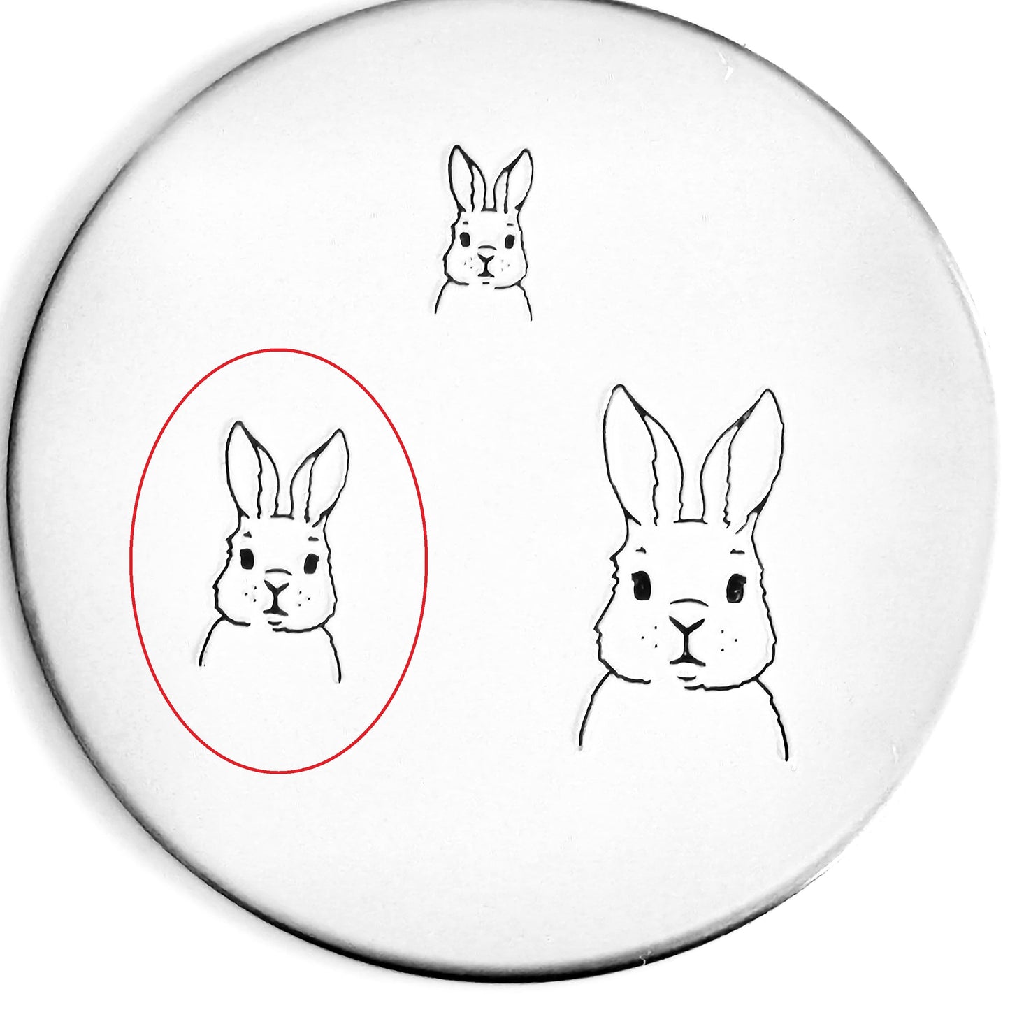 Bunny #02
