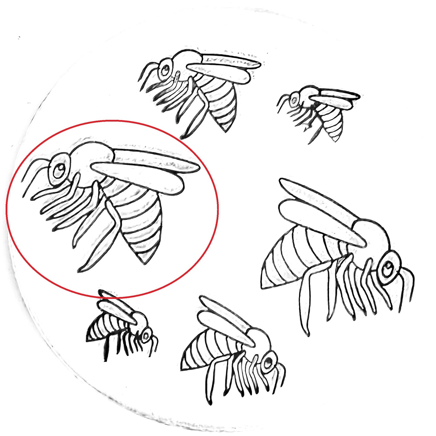 Bee #02
