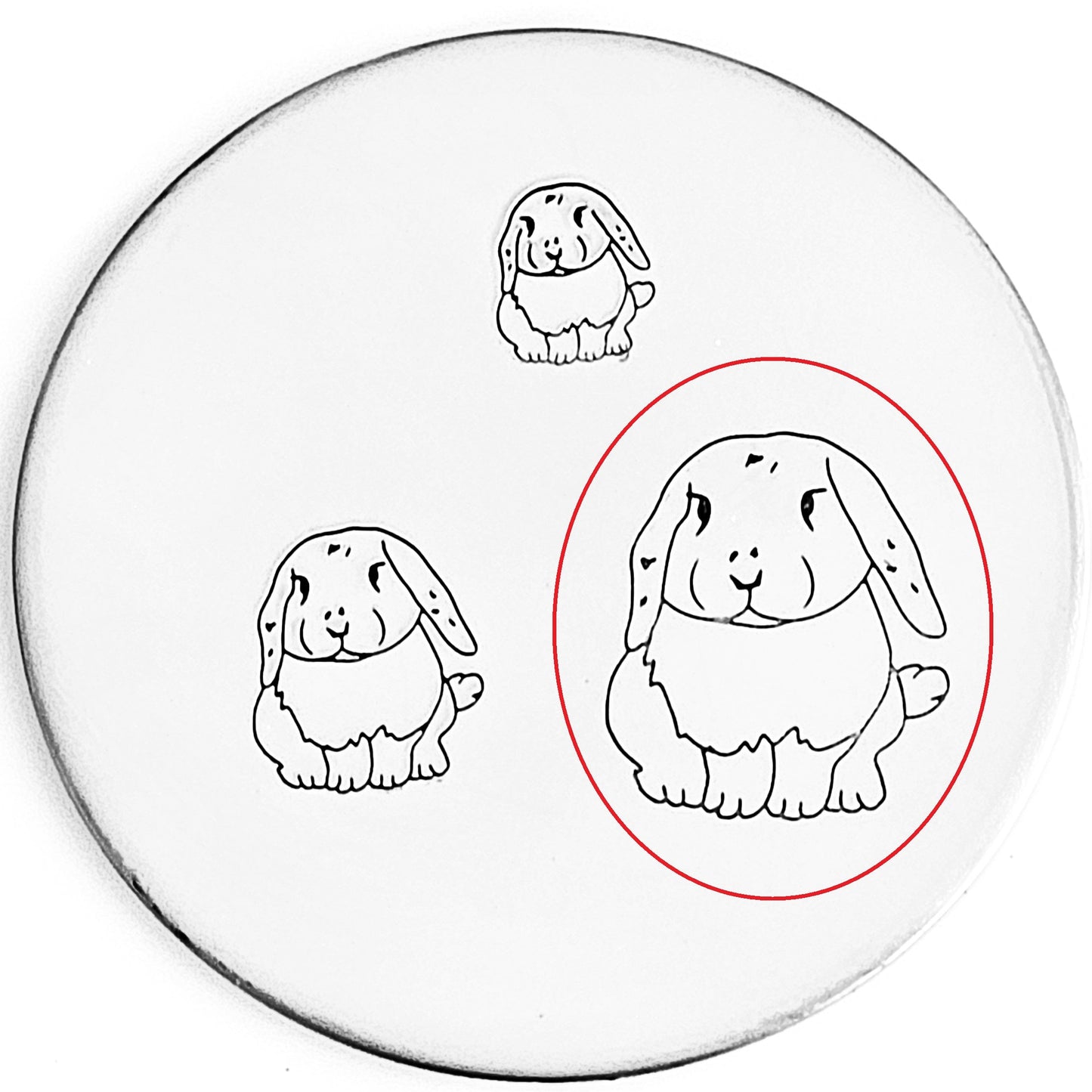 Bunny