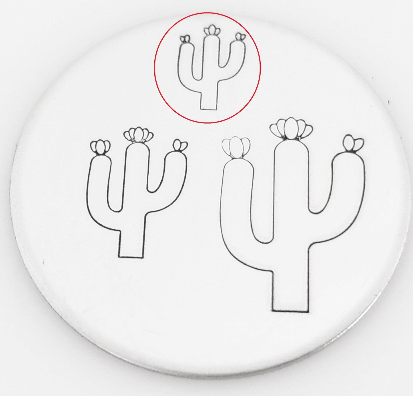Cactus #02