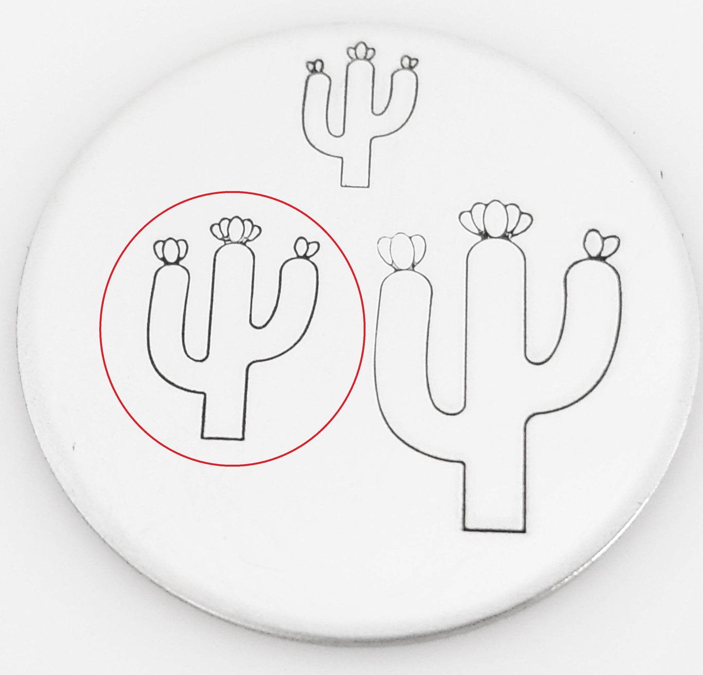 Cactus #02