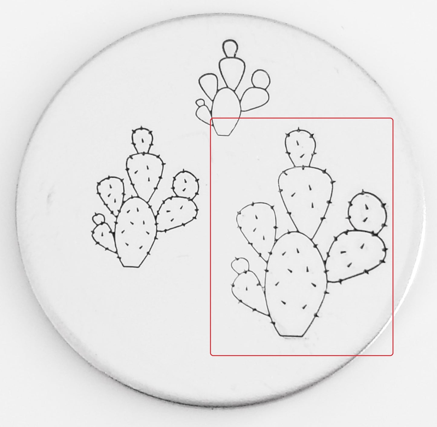 Cactus #04