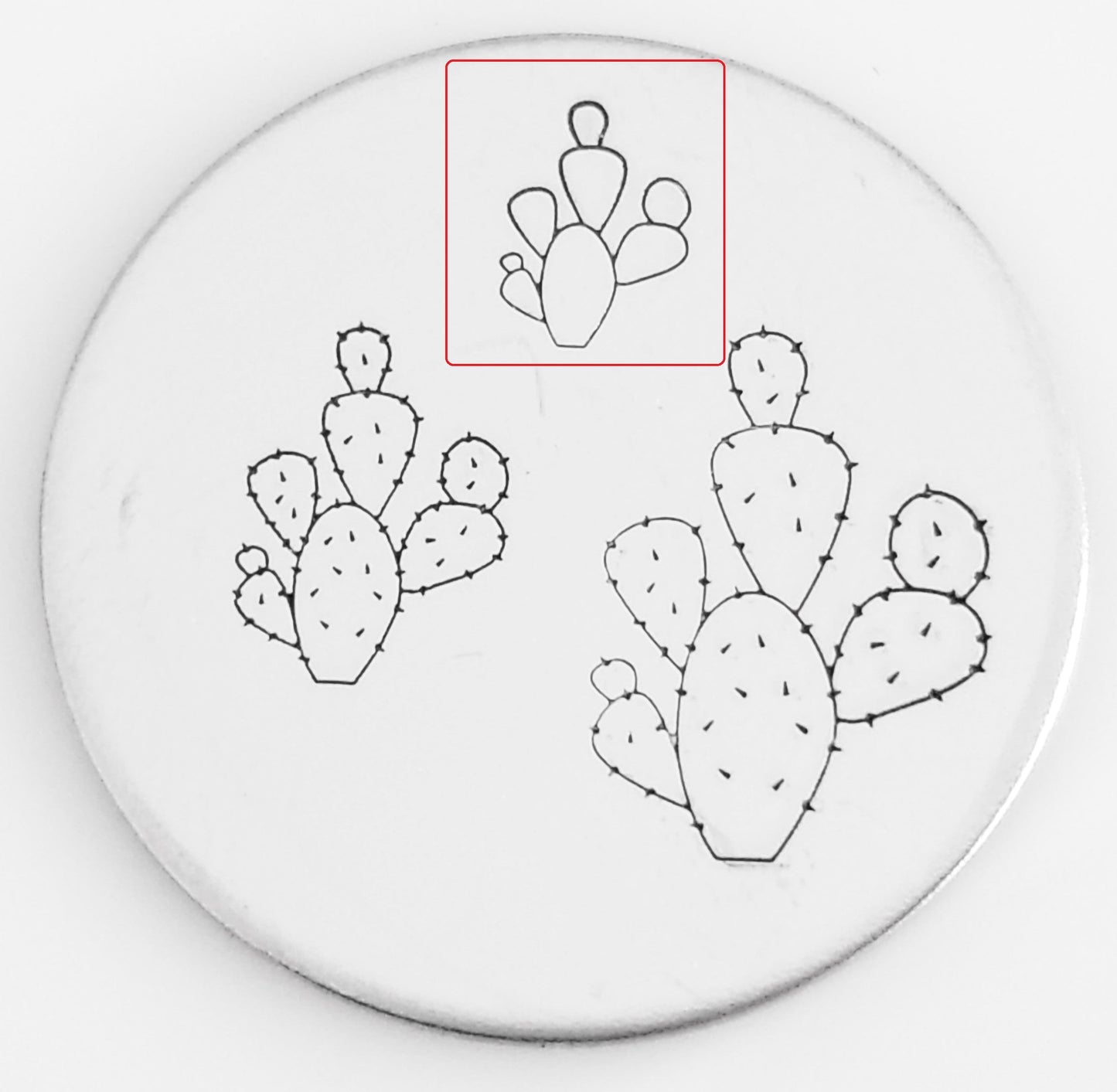 Cactus #04