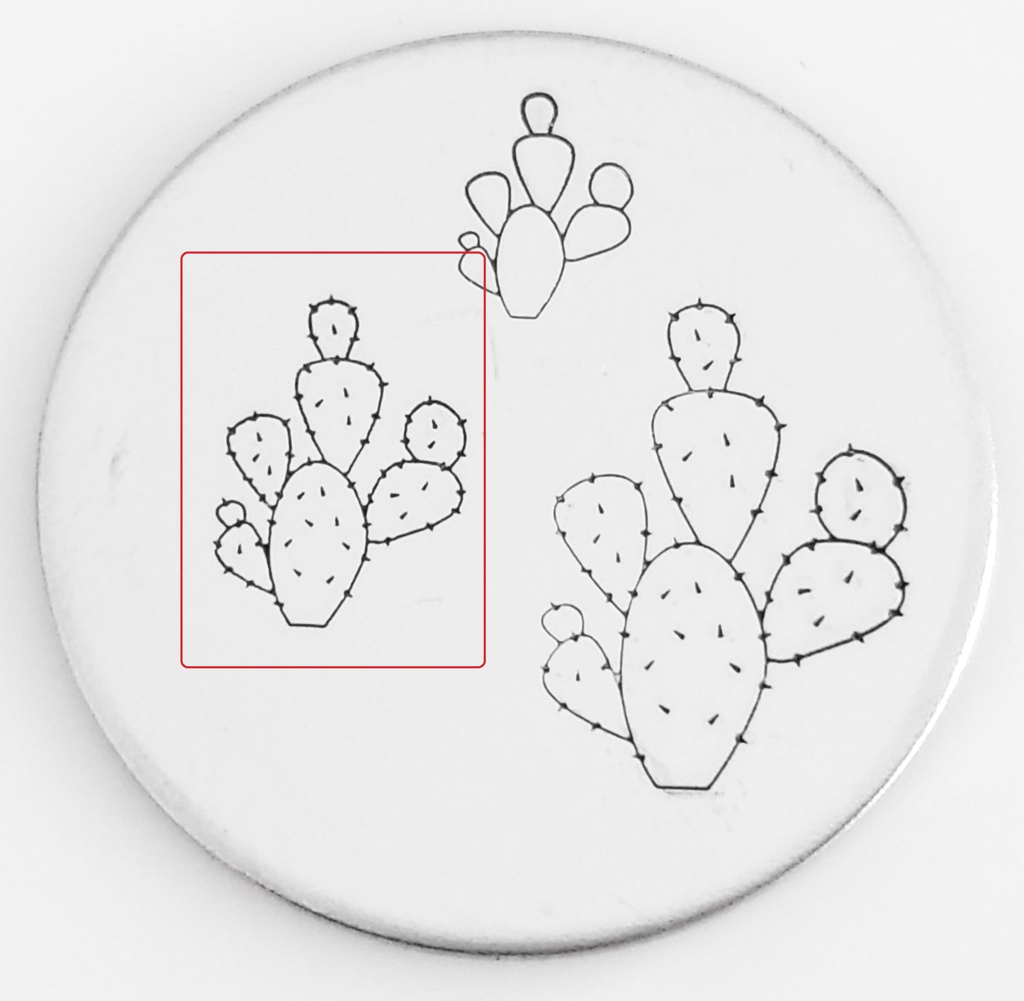 Cactus #04