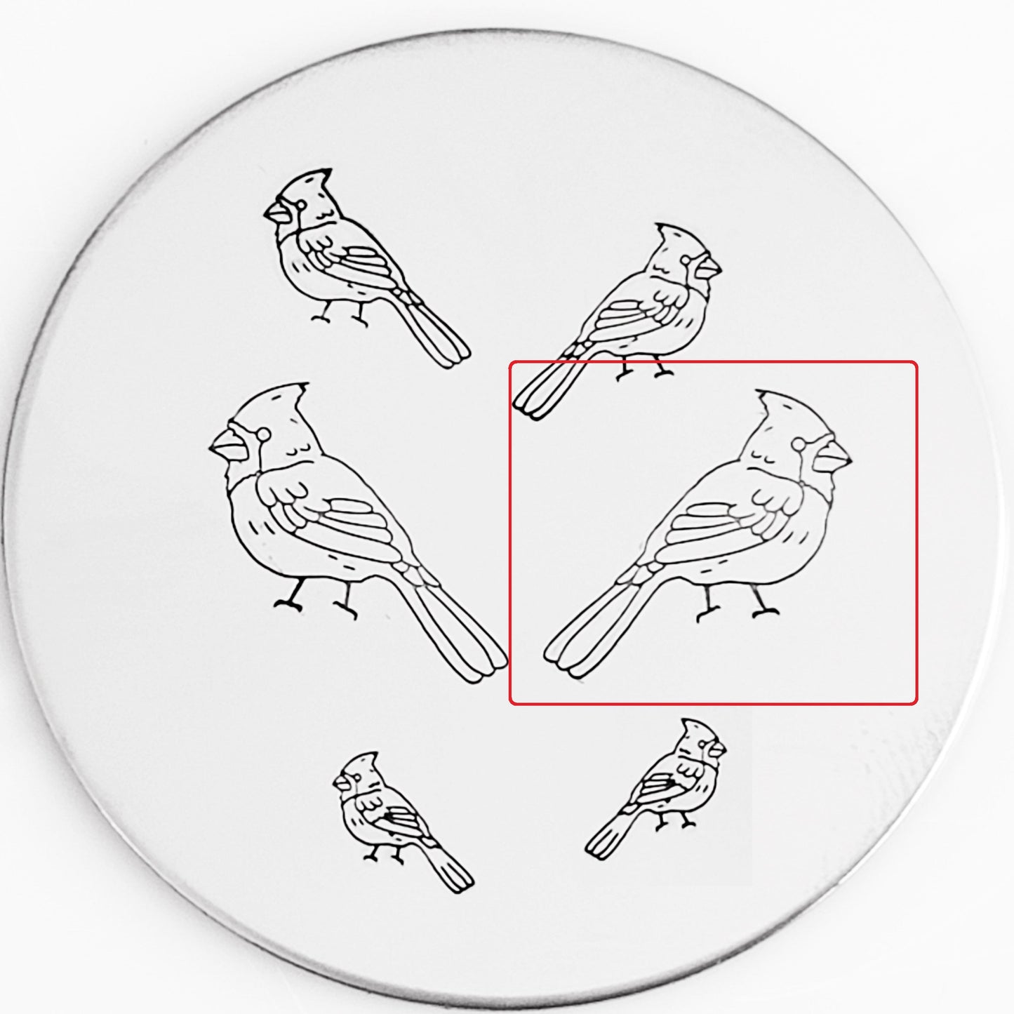 Cardinal #01