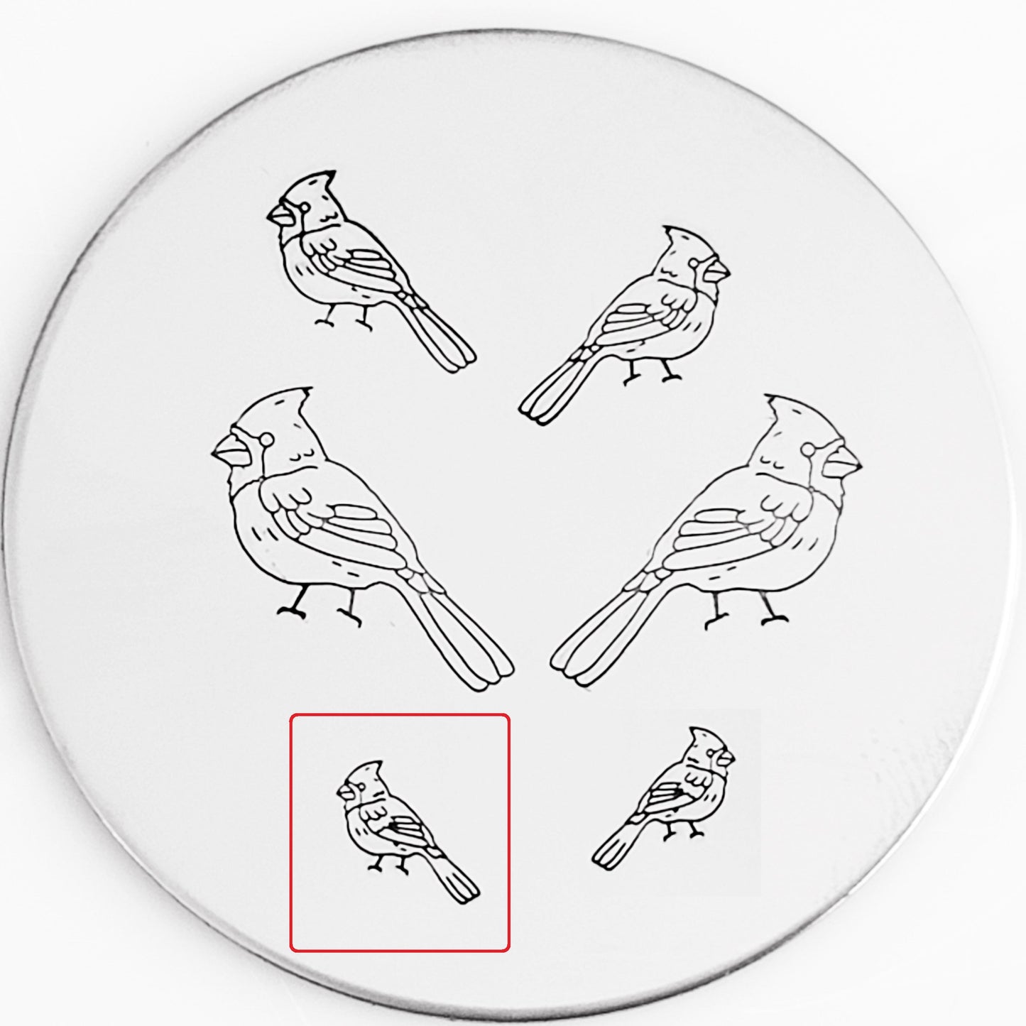 Cardinal #01