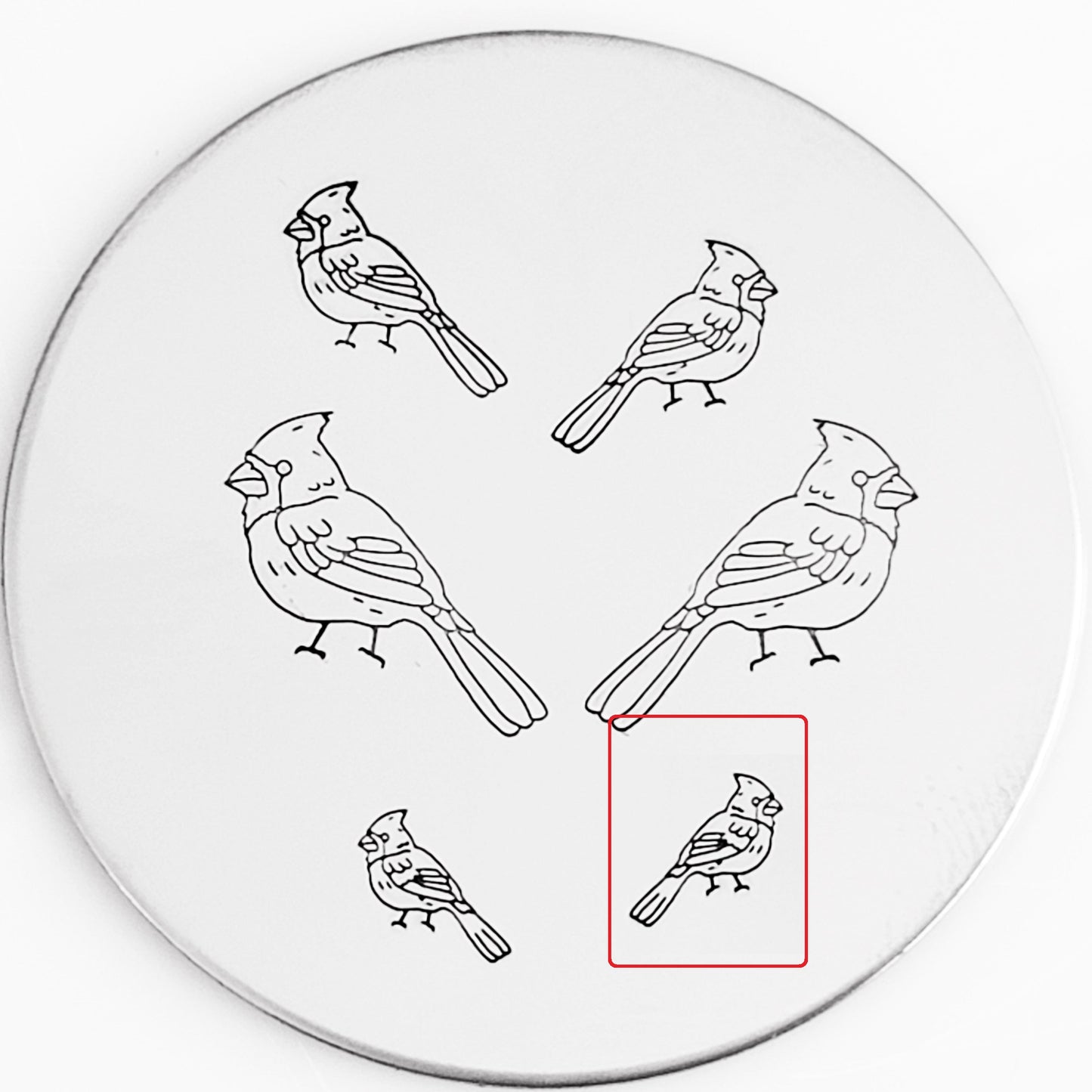 Cardinal #01