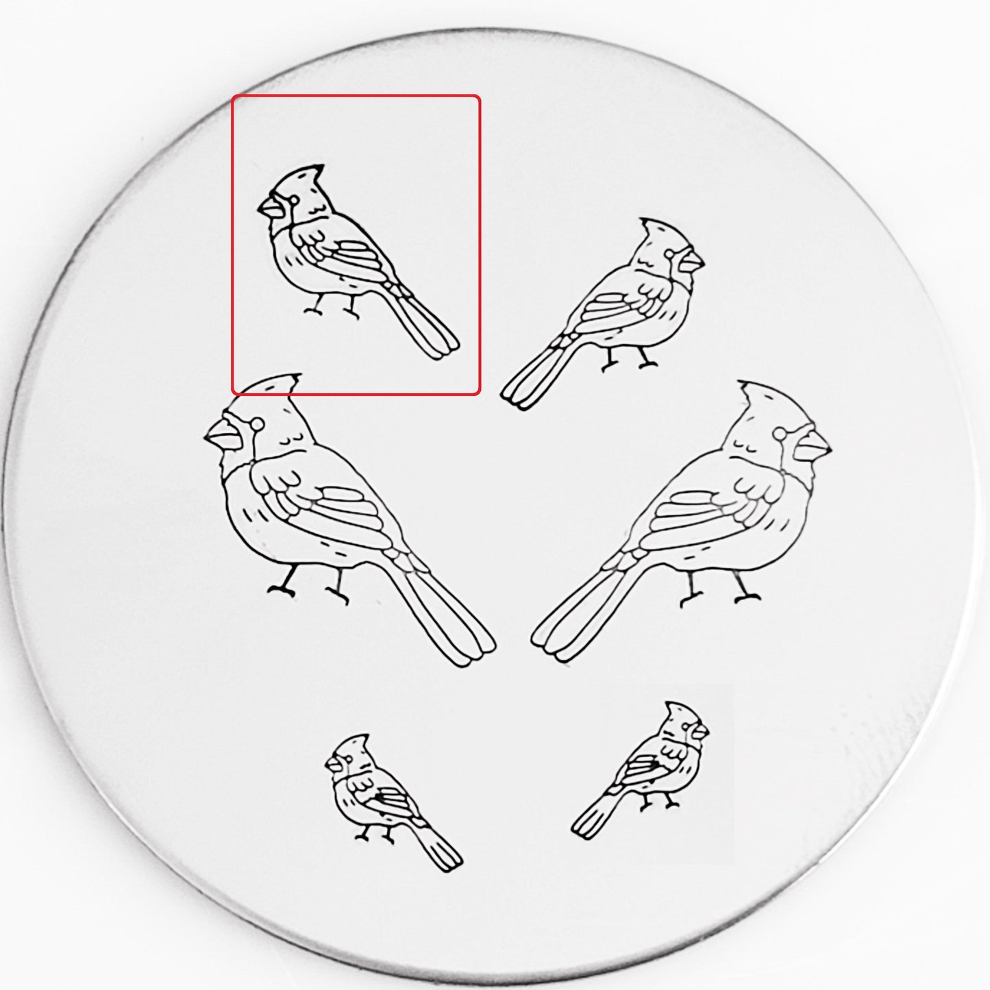 Cardinal #01