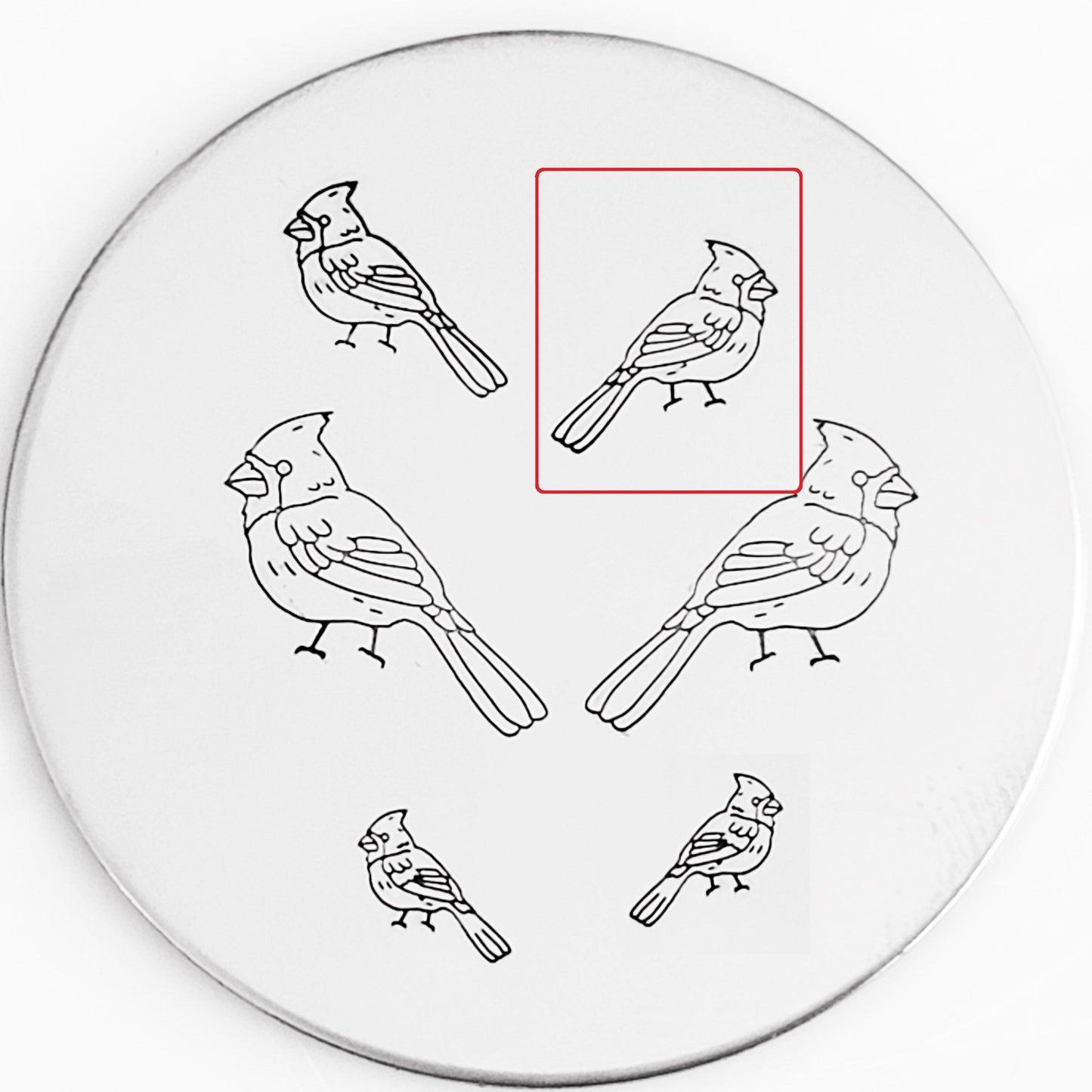 Cardinal #01