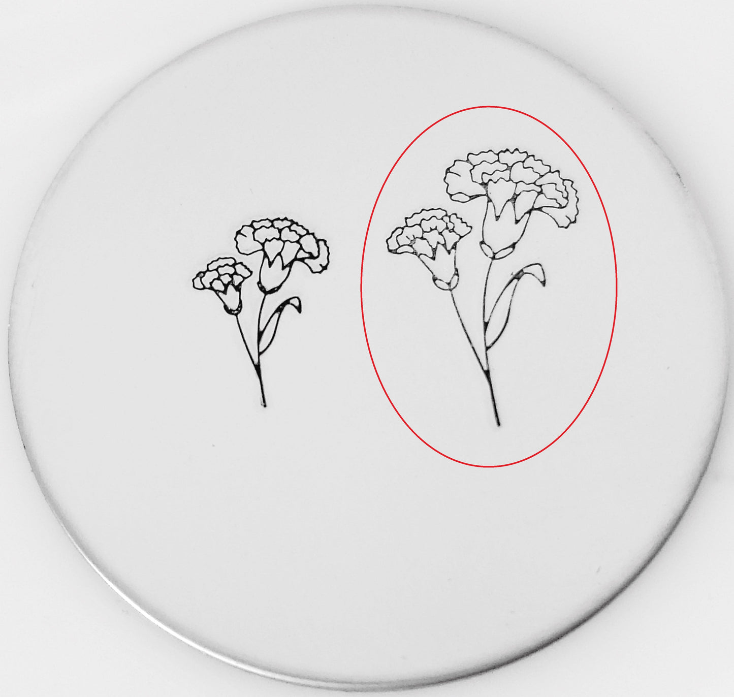 Carnation