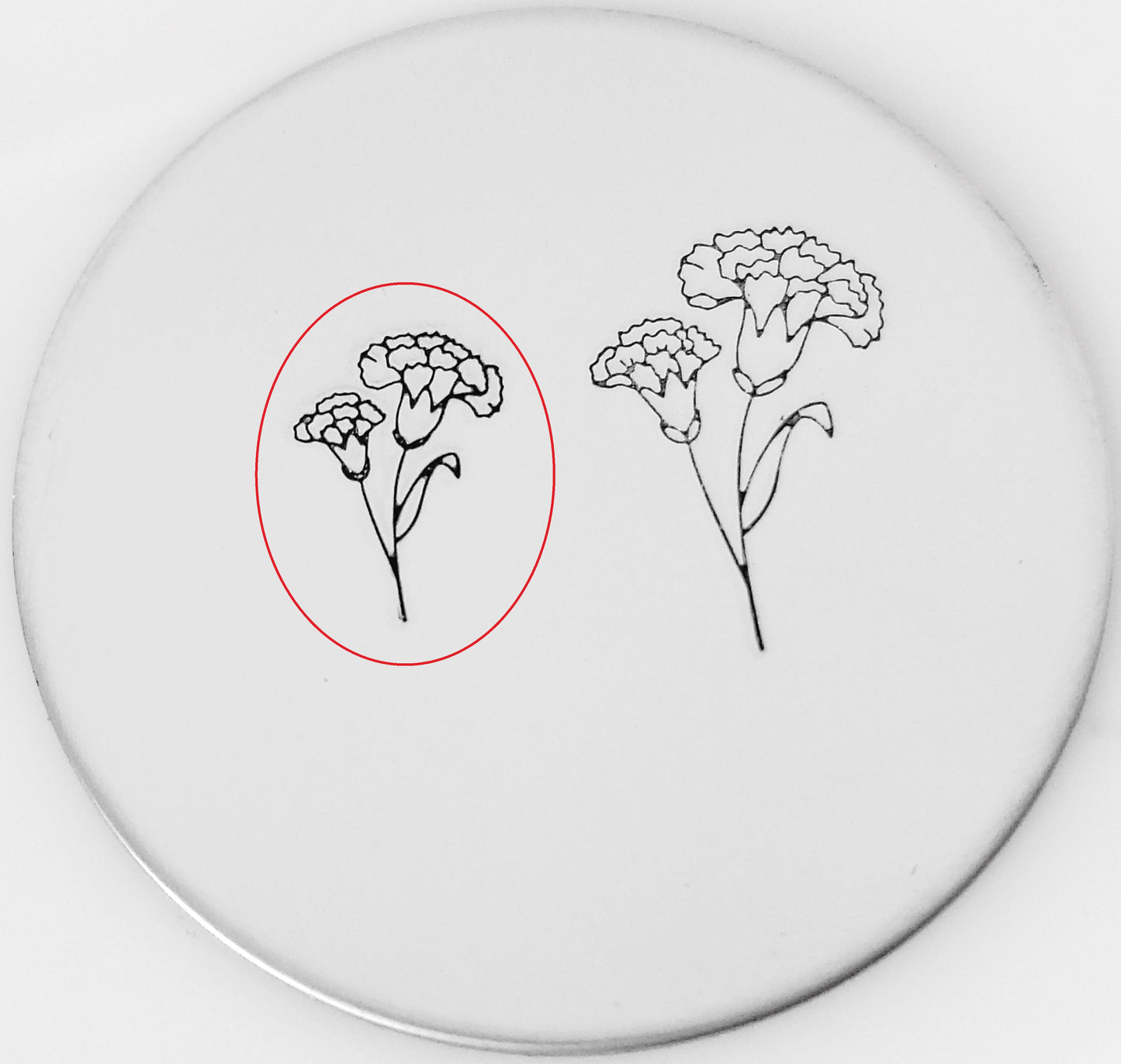 Carnation