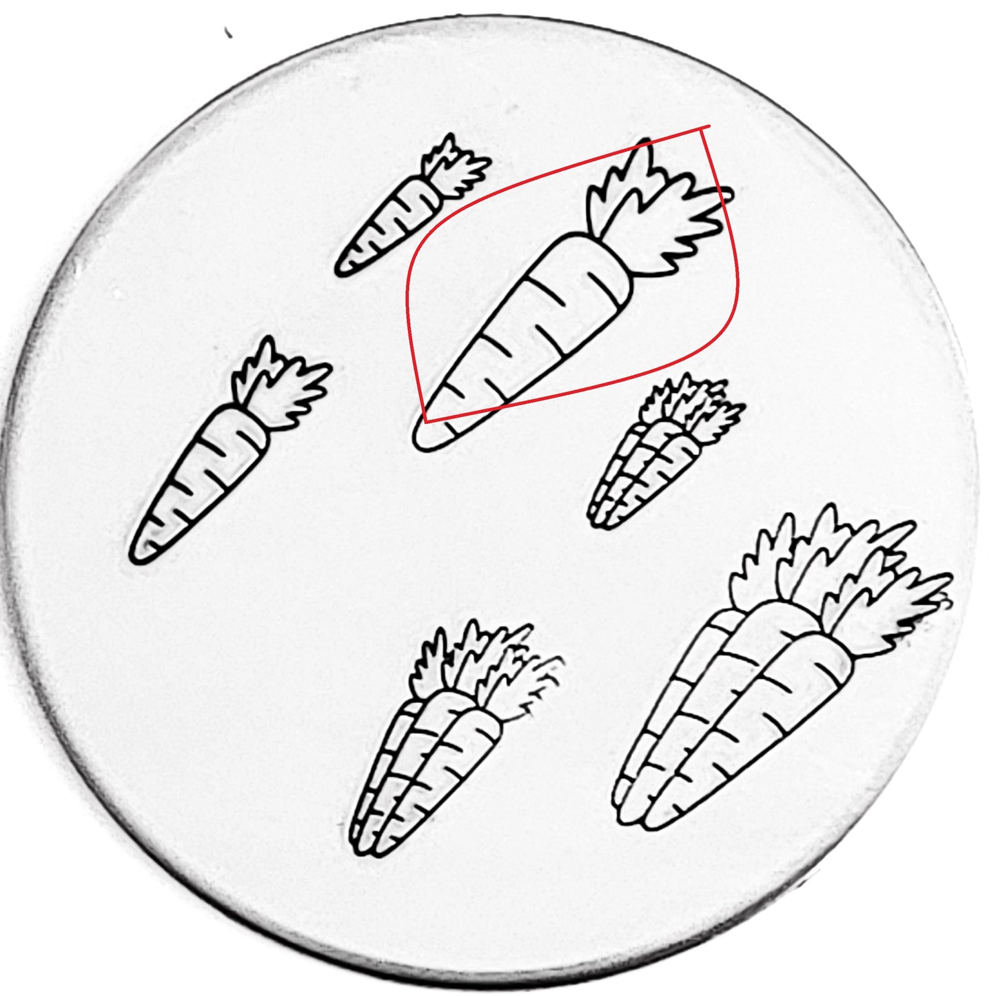 Carrot and Carrots