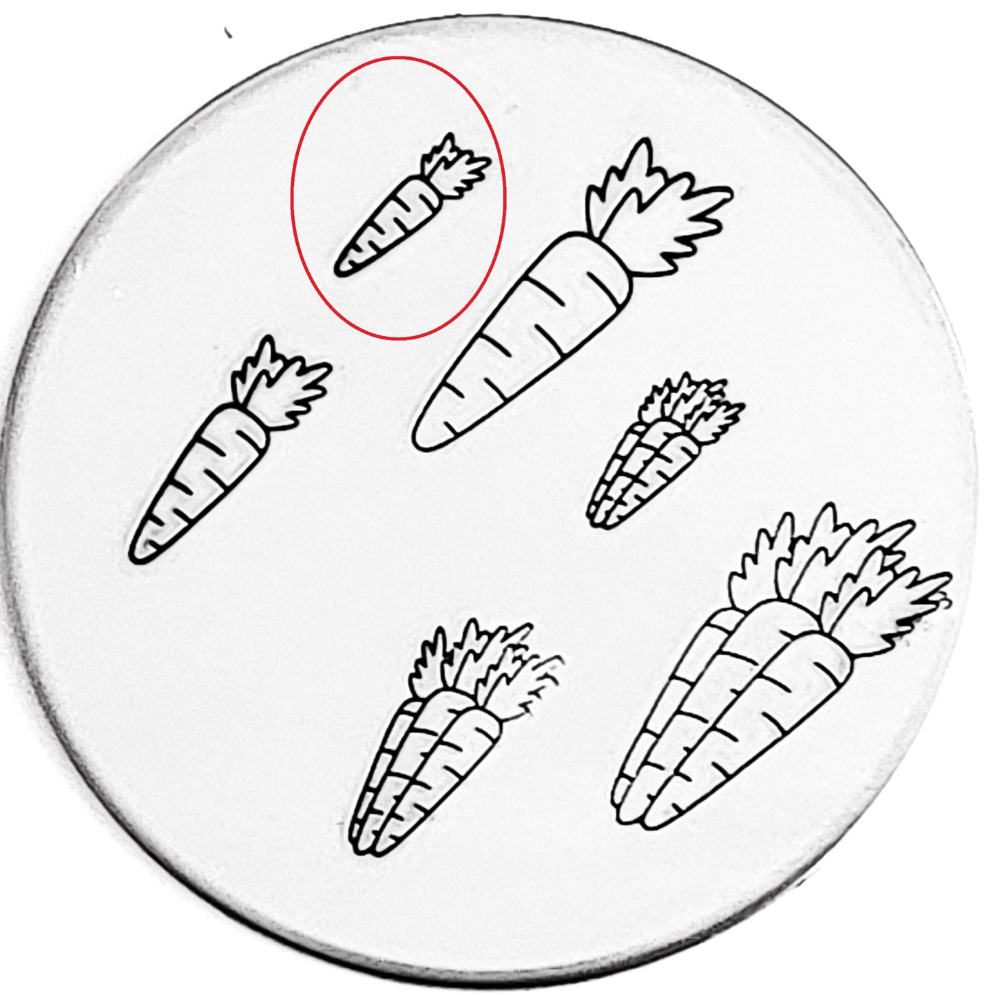 Carrot and Carrots