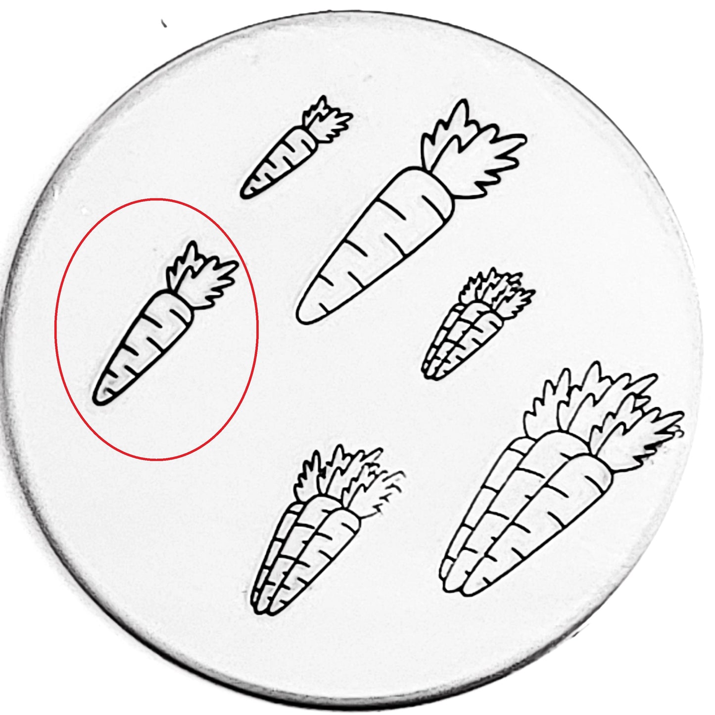Carrot and Carrots