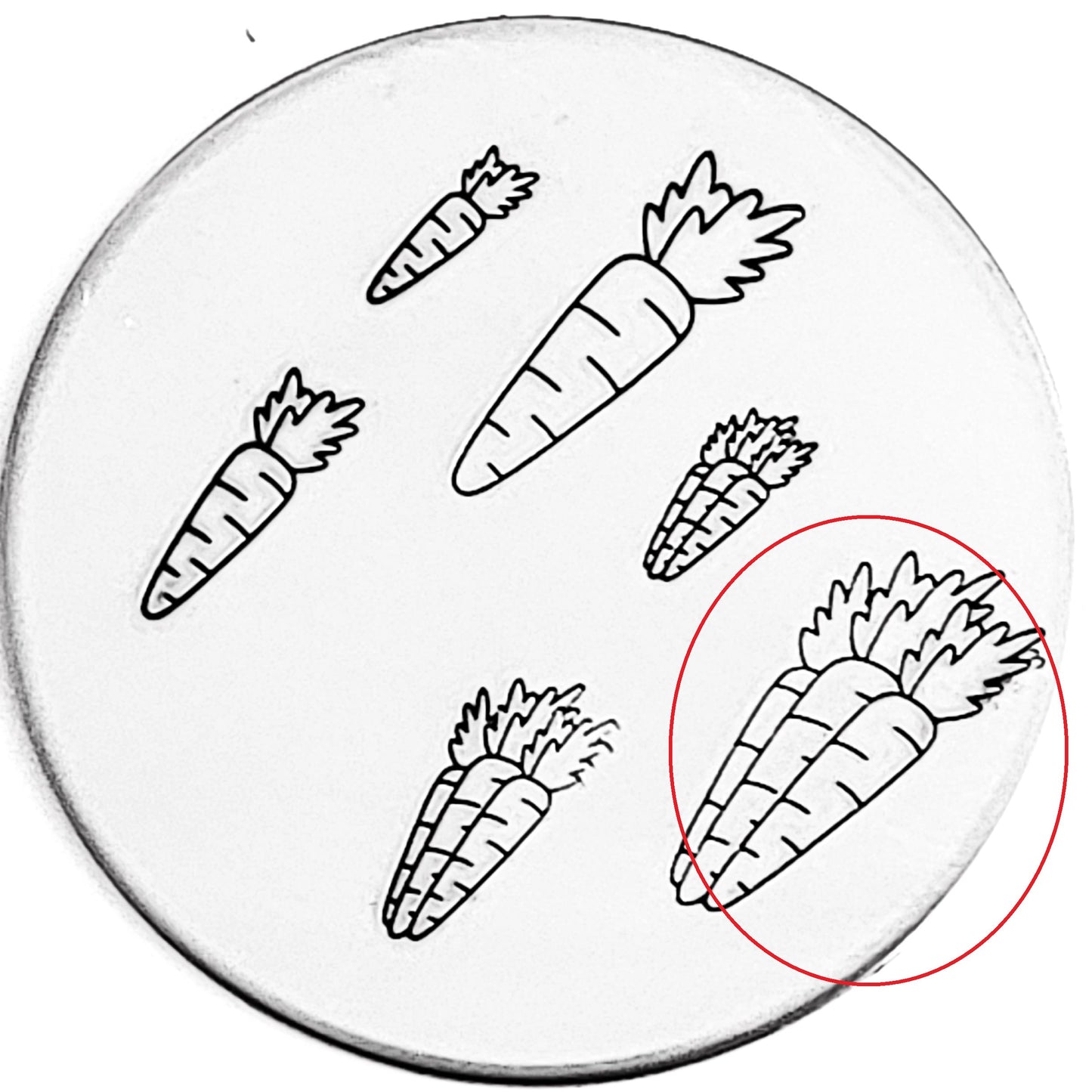 Carrot and Carrots