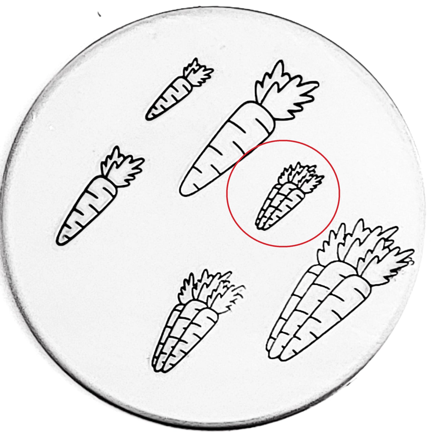 Carrot and Carrots