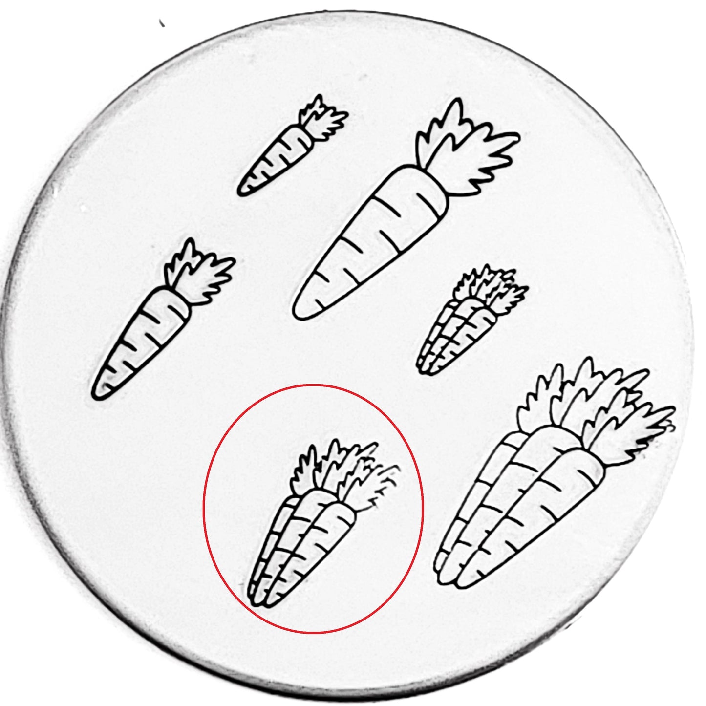 Carrot and Carrots