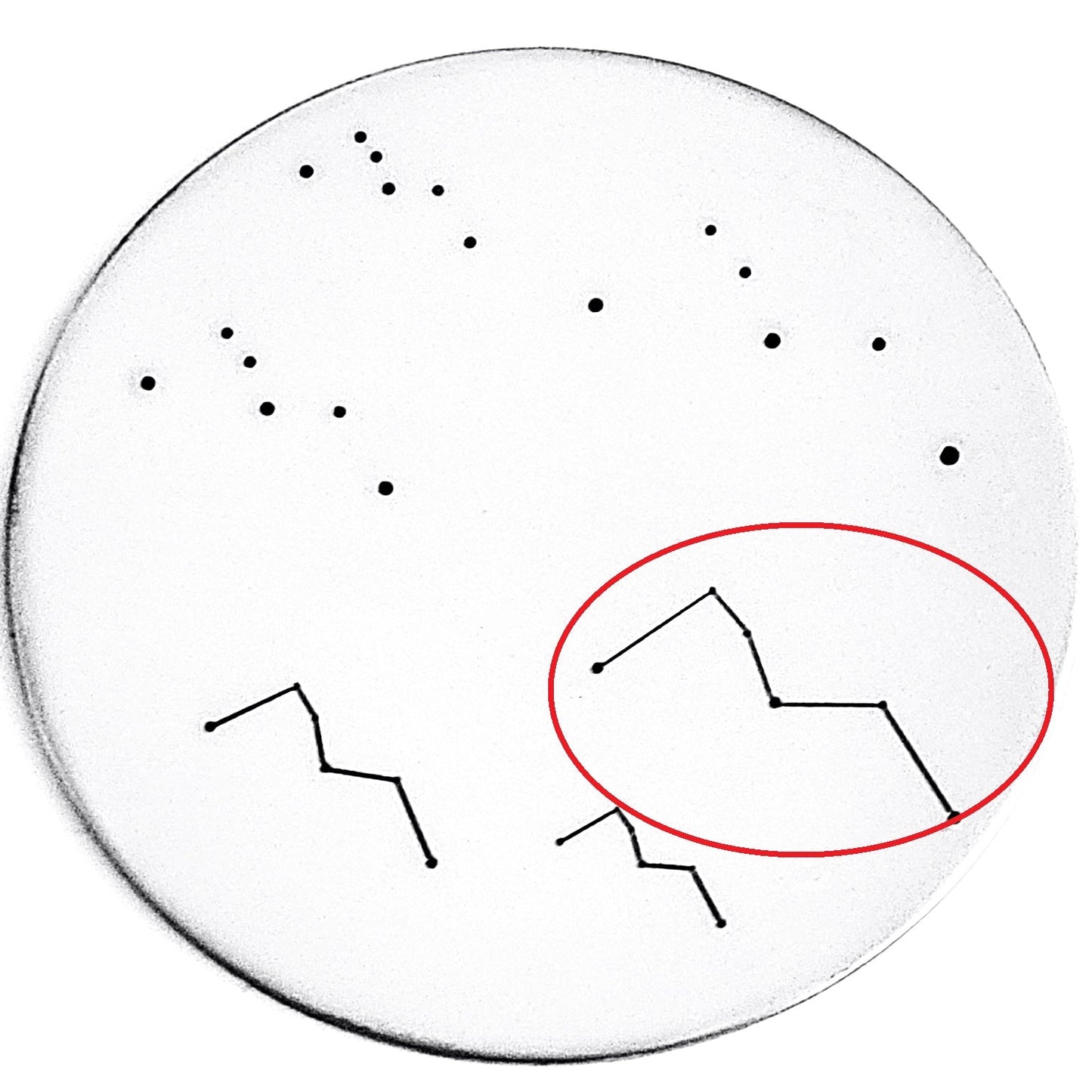 Cassiopeia