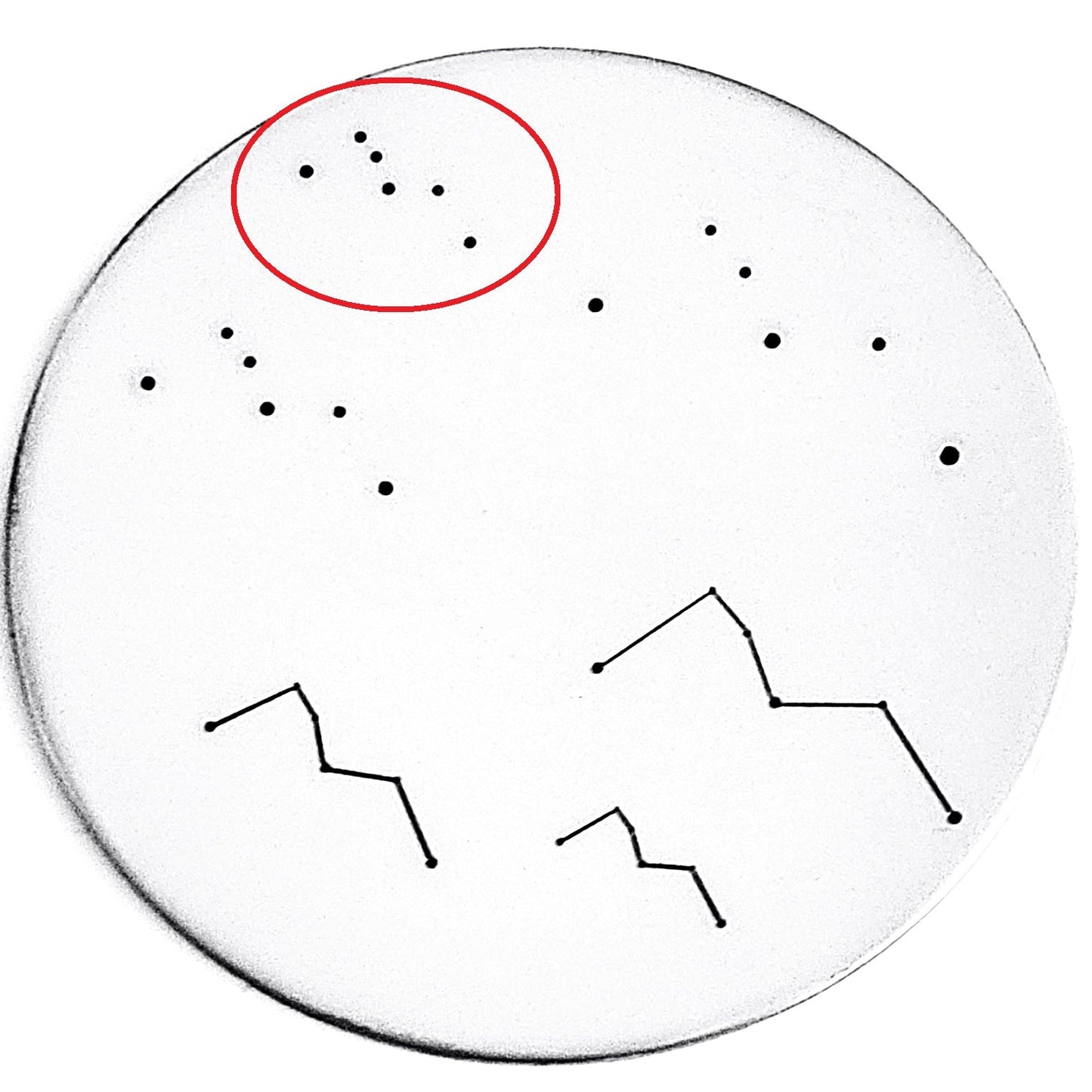 Cassiopeia