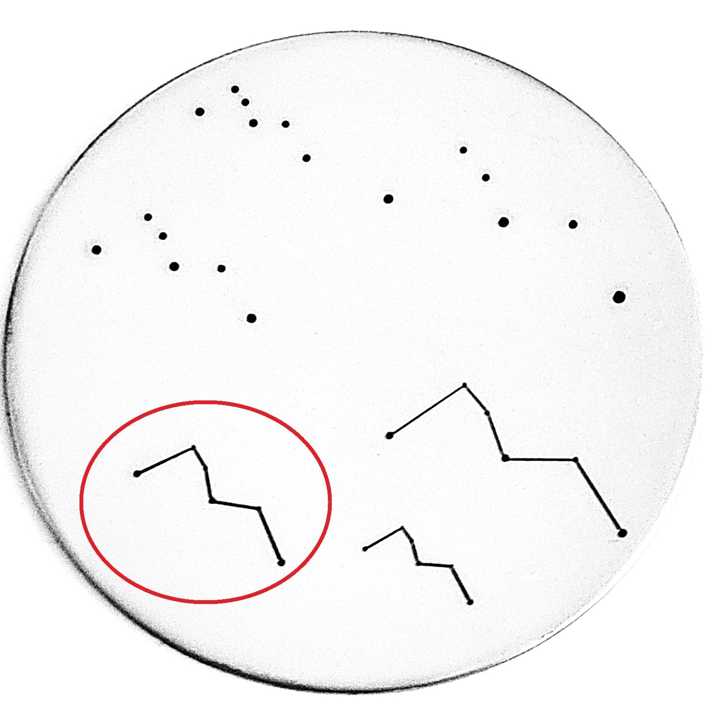 Cassiopeia