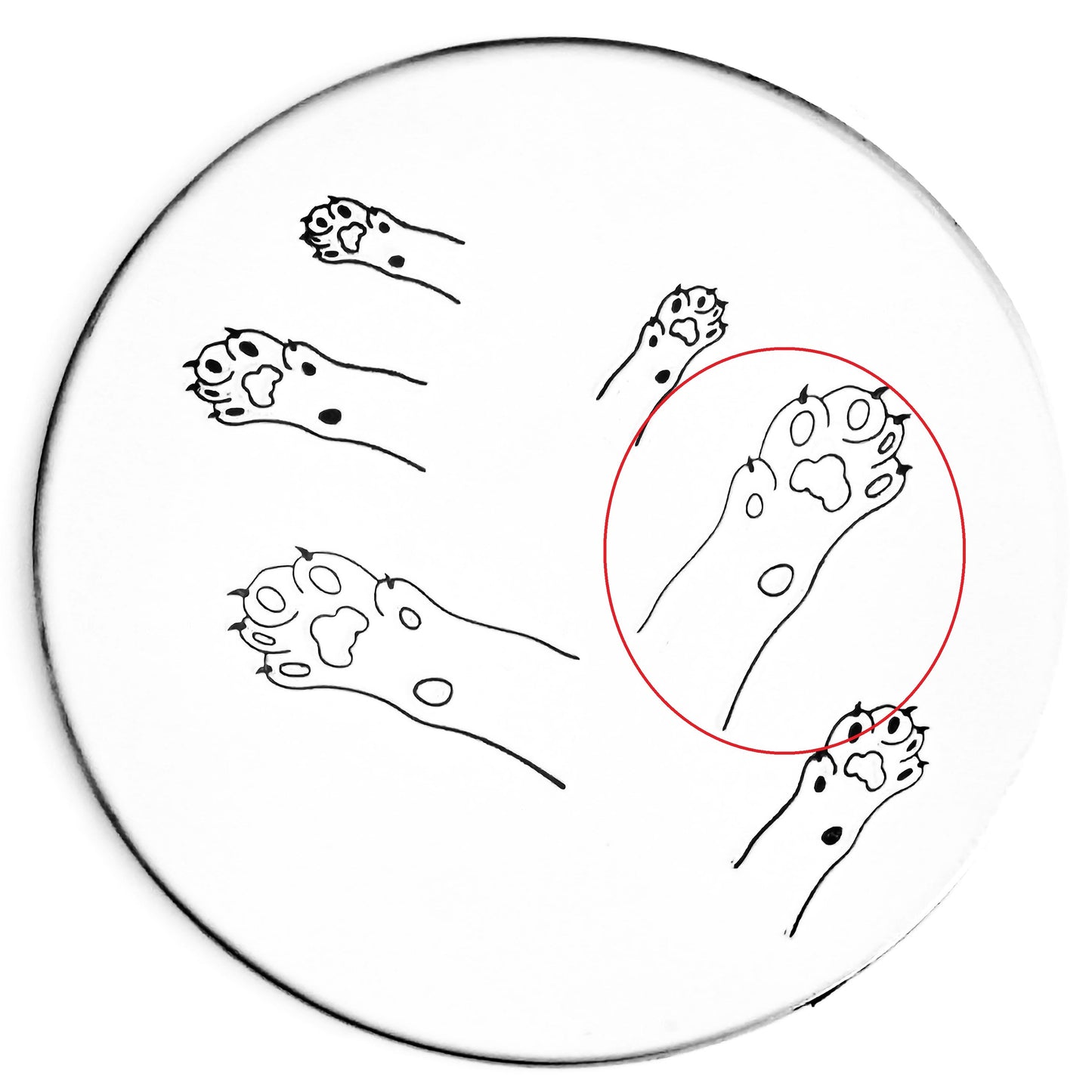 Cat Paw