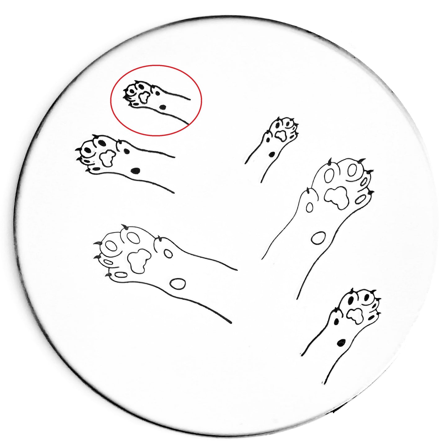 Cat Paw
