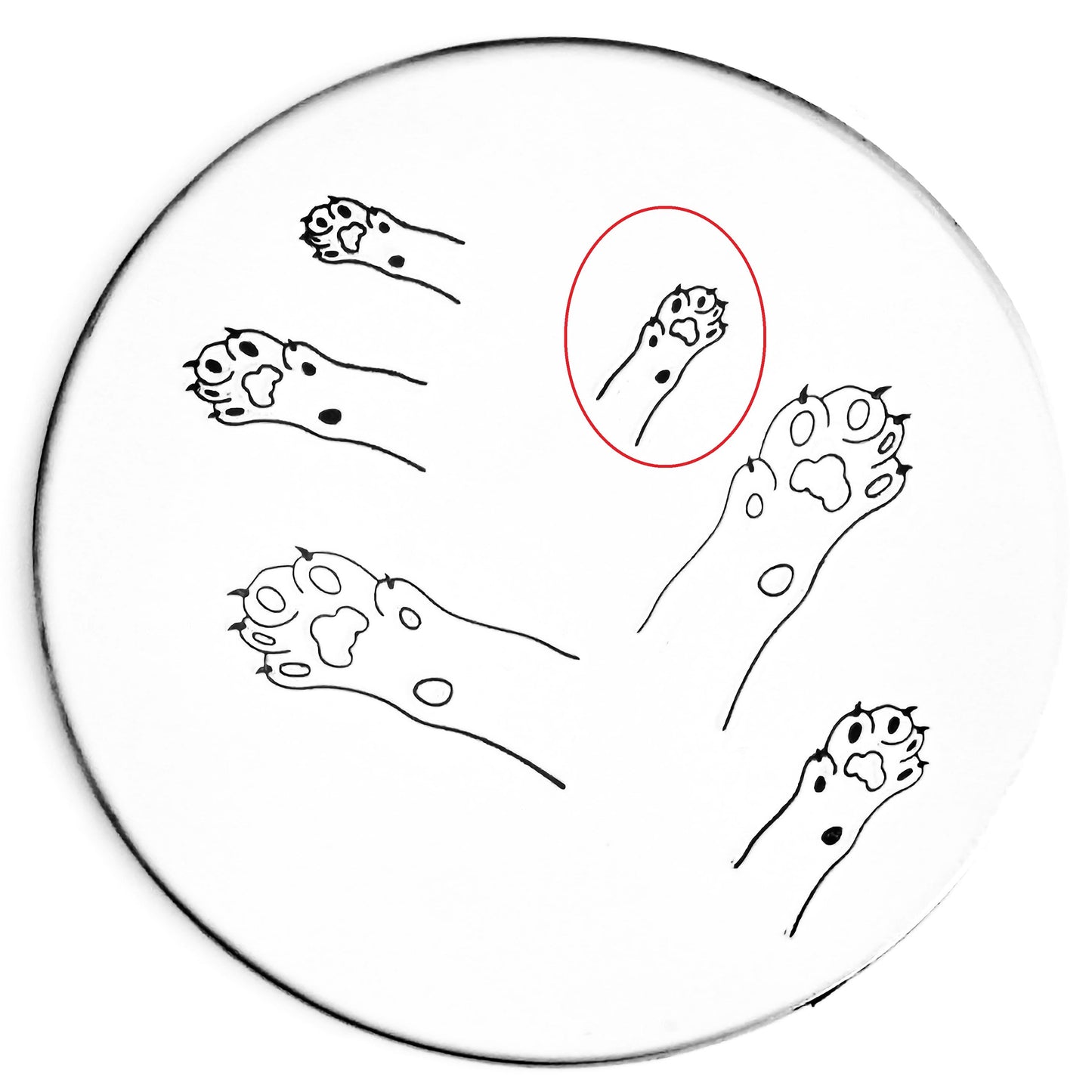 Cat Paw